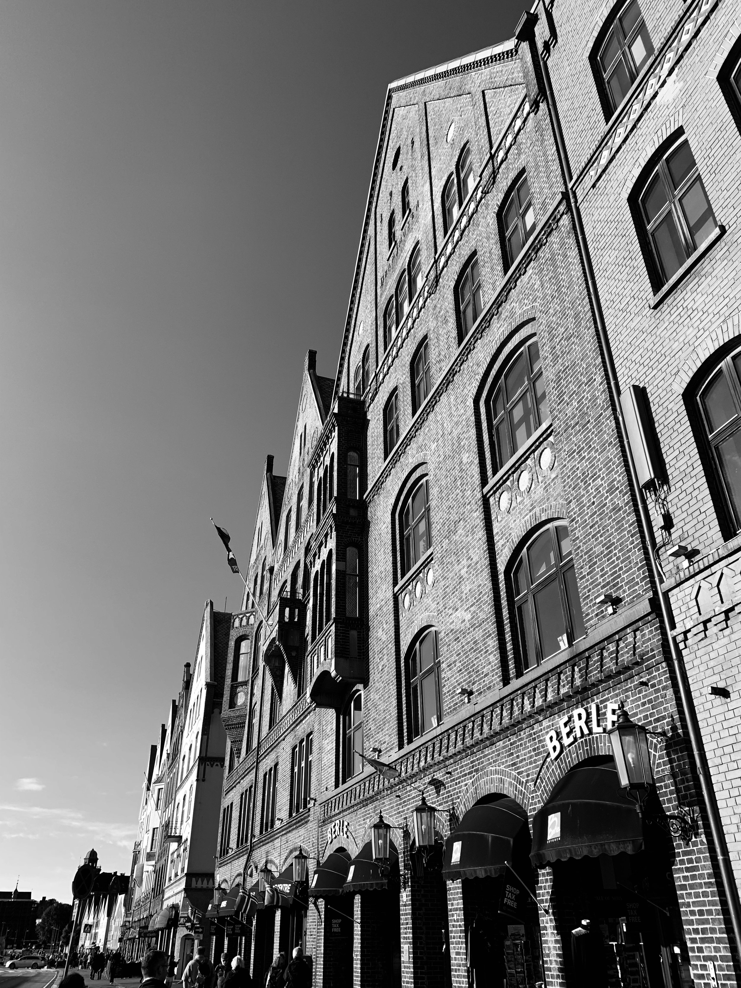 IMG_2315.jpg
