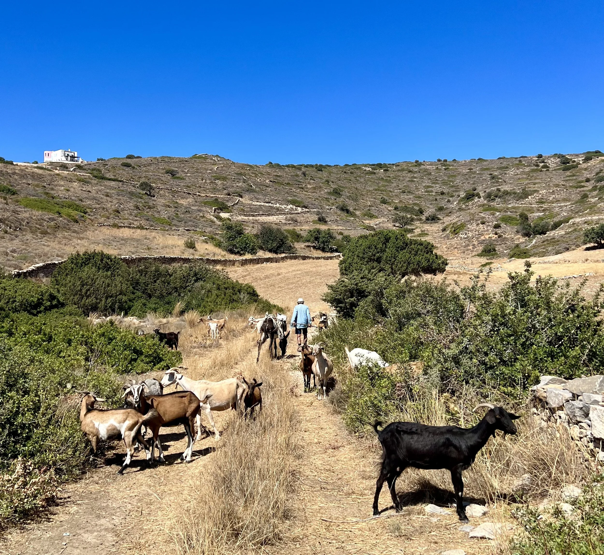 Paros.jpeg
