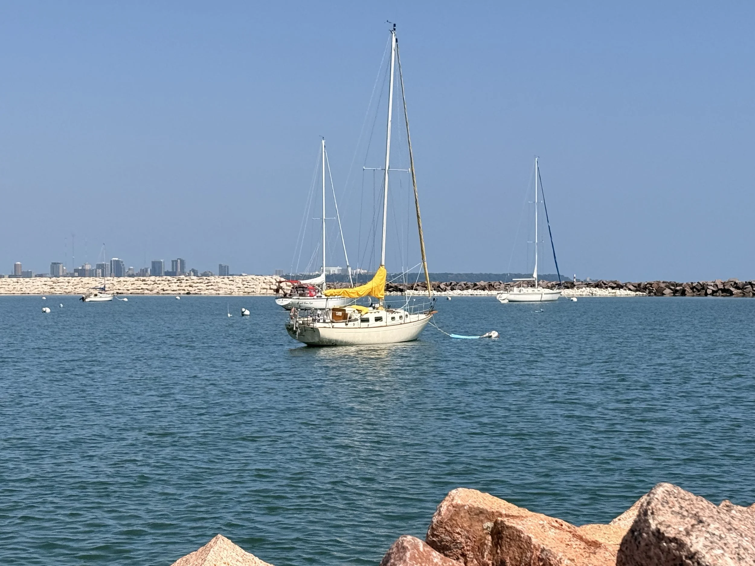 IMG_0717.jpeg