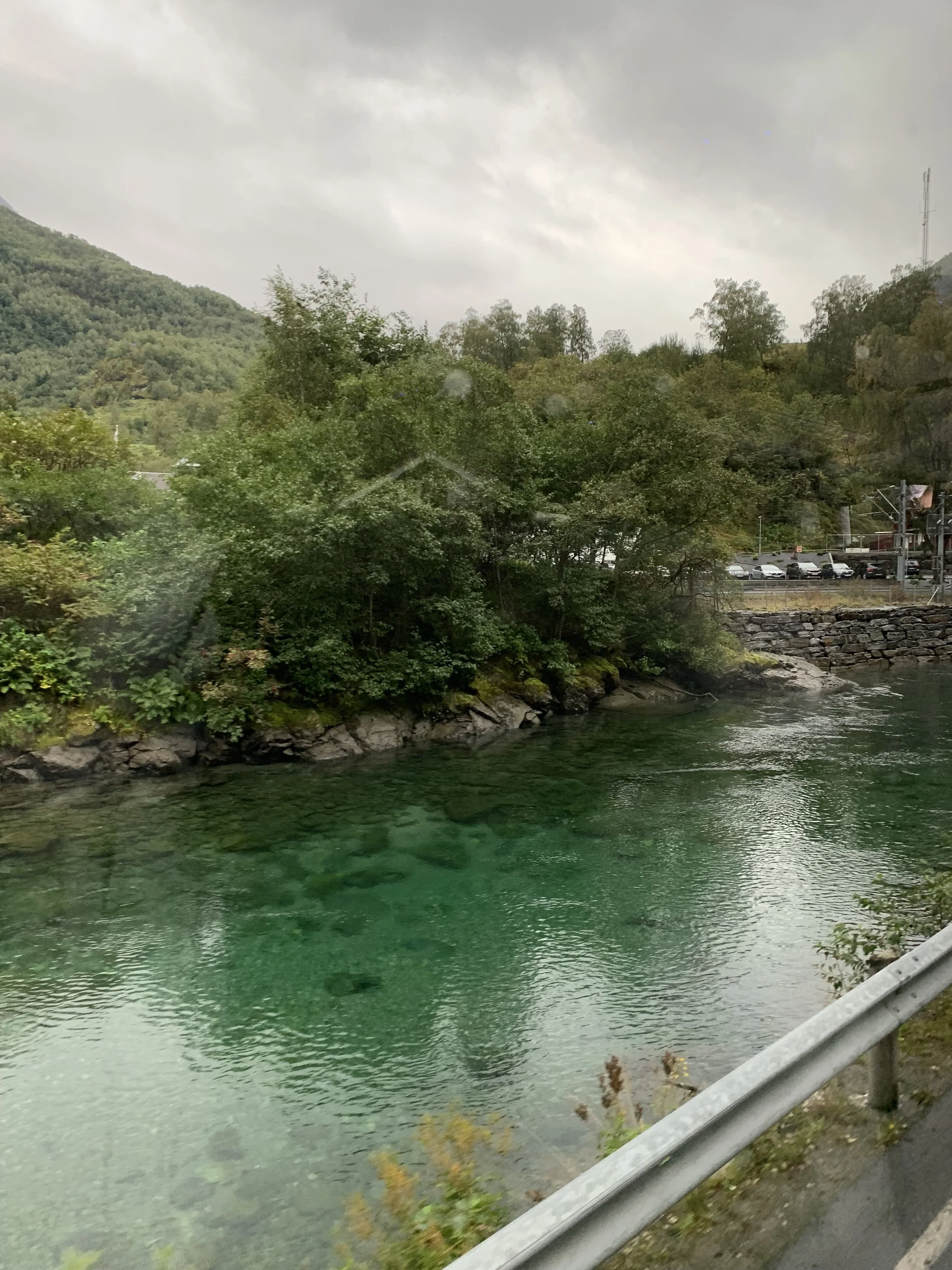 IMG_2376.jpeg