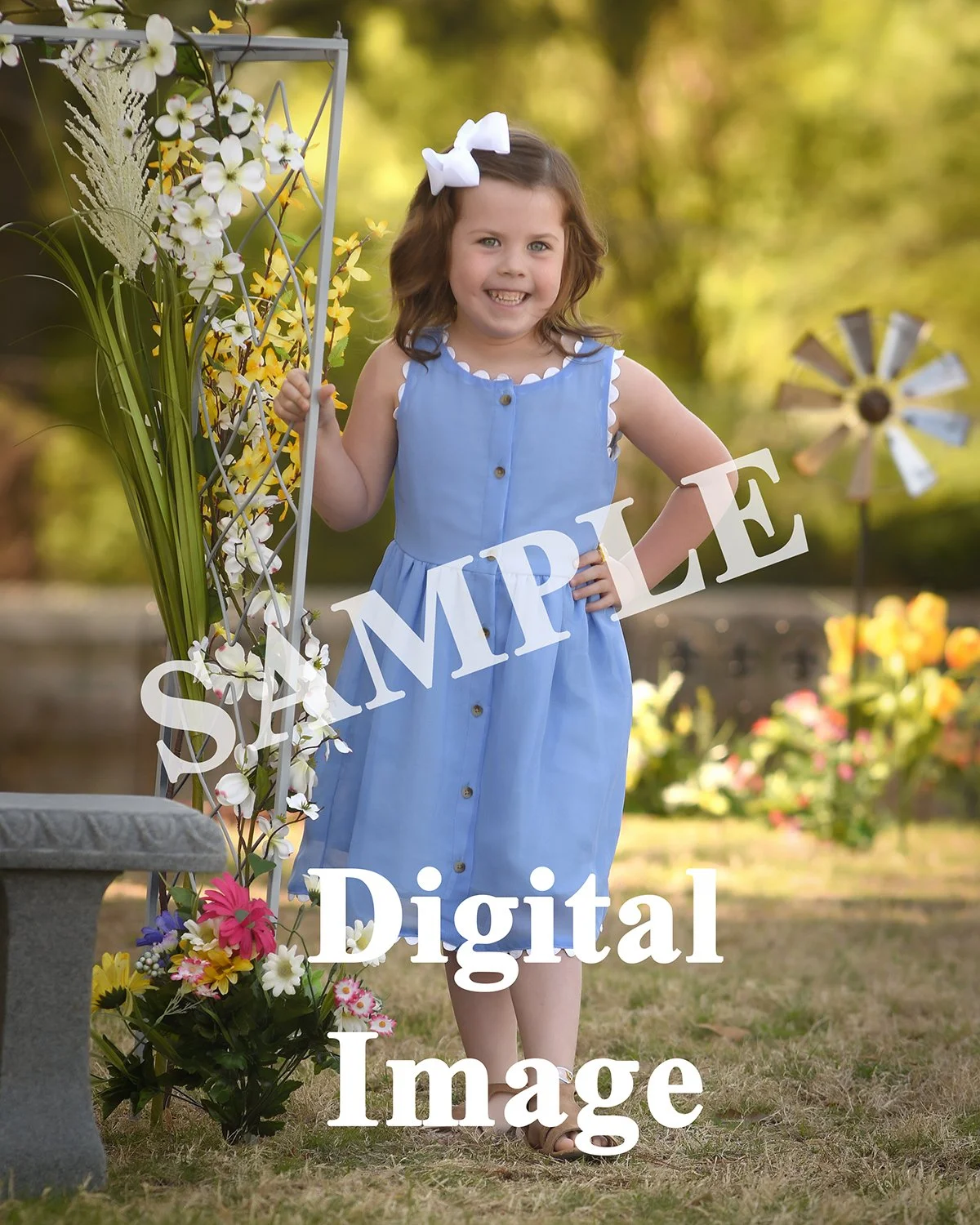 Digital Image Spring.jpg