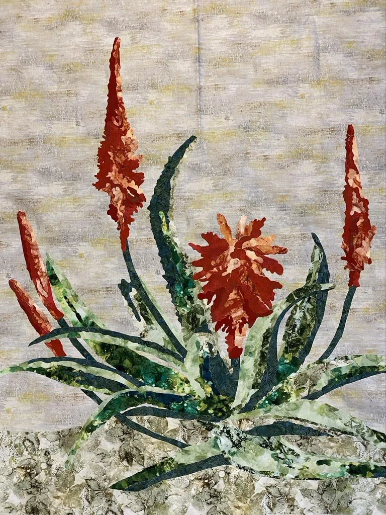 $1200 Aloe Vera 33 x 36