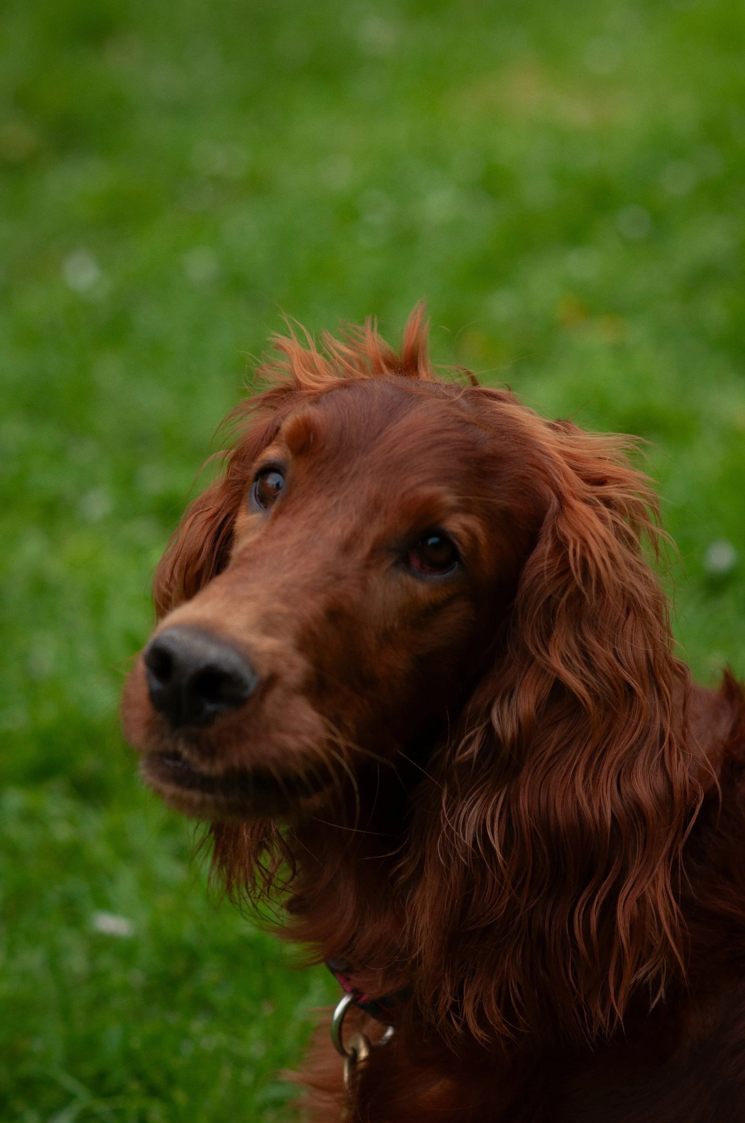DSC_0670.jpg