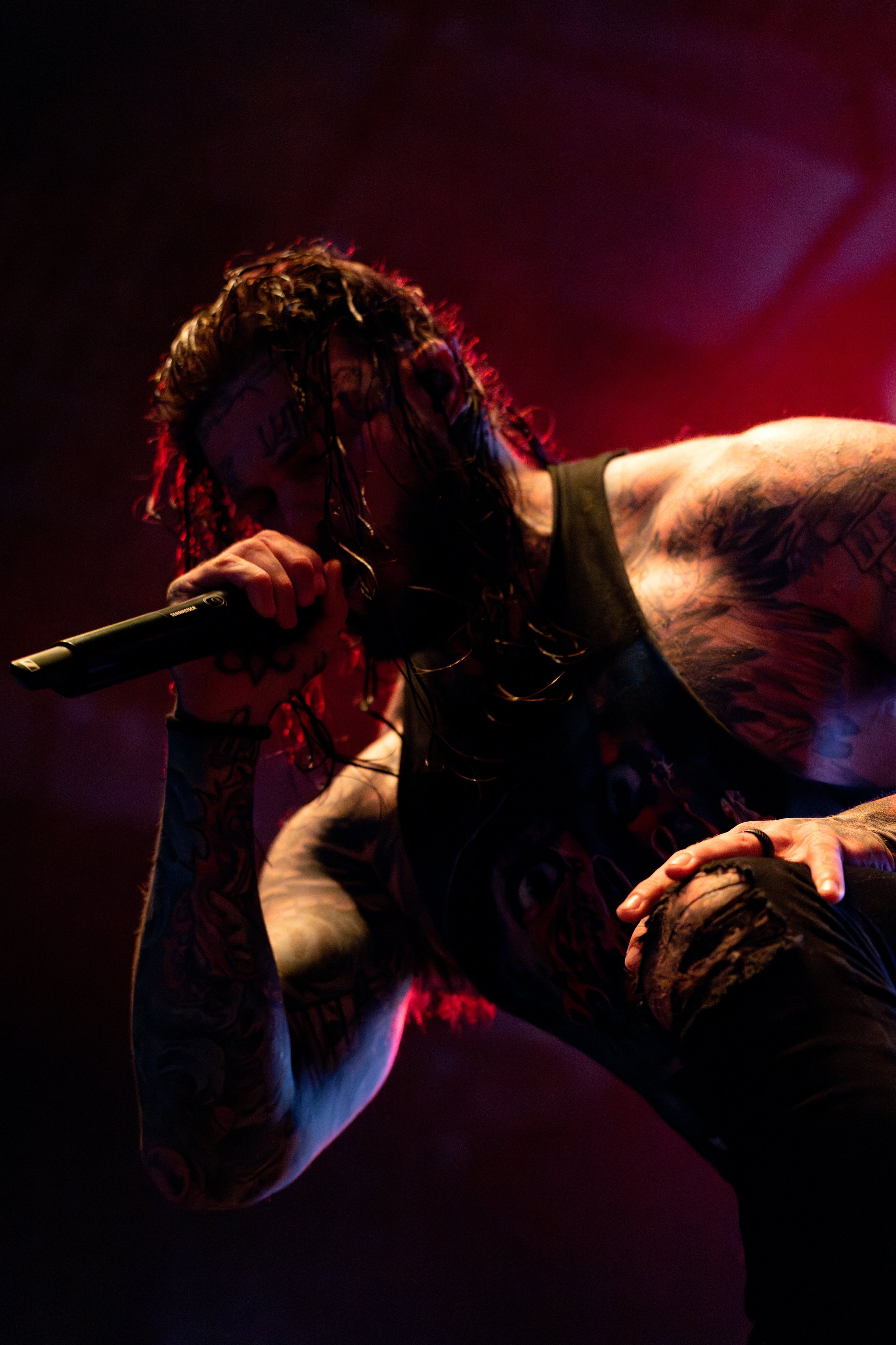 DSC_8825-Enhanced-NR.jpg