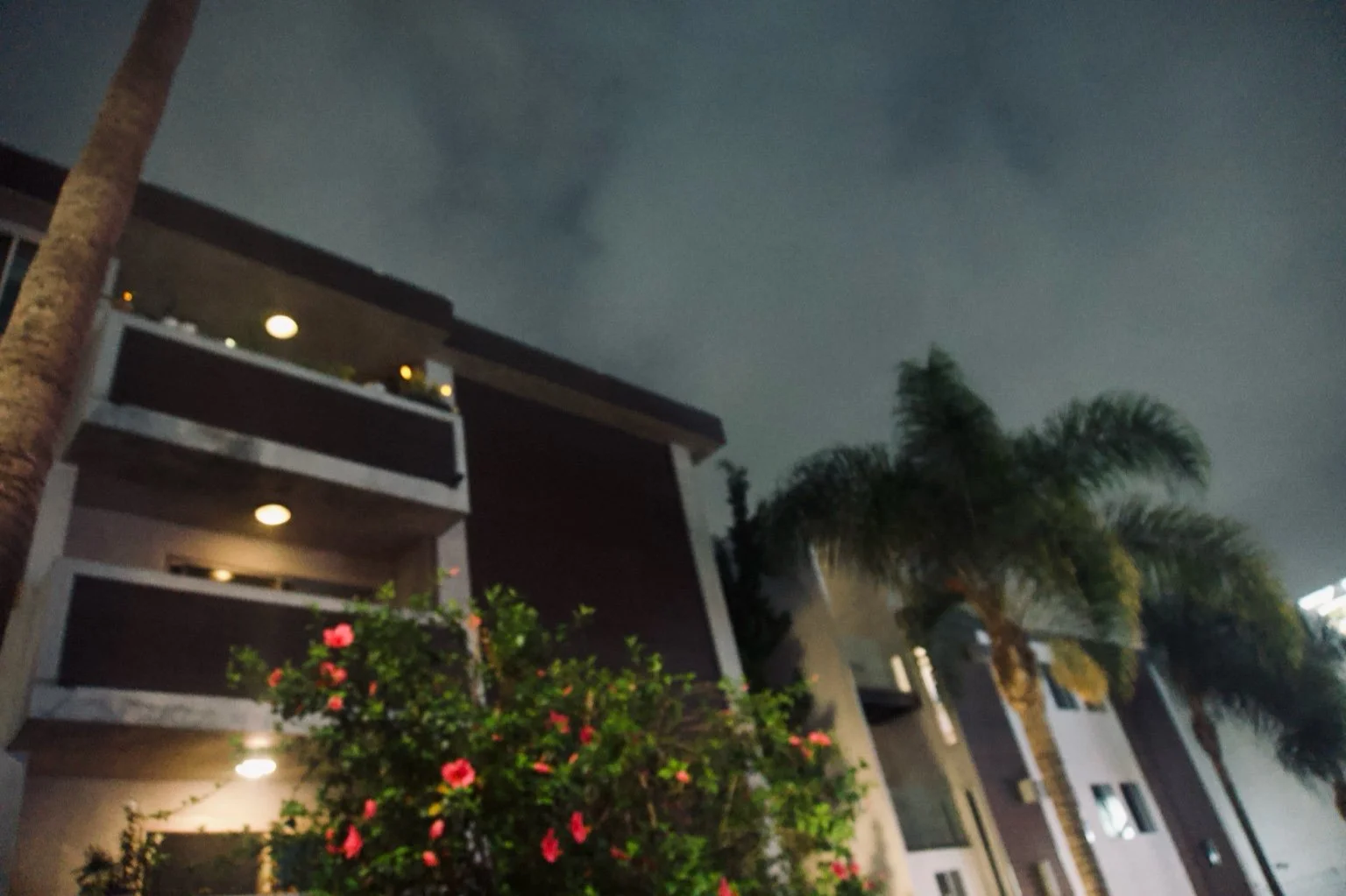 front-facing-building-balcony-hibiscus-tress.jpeg