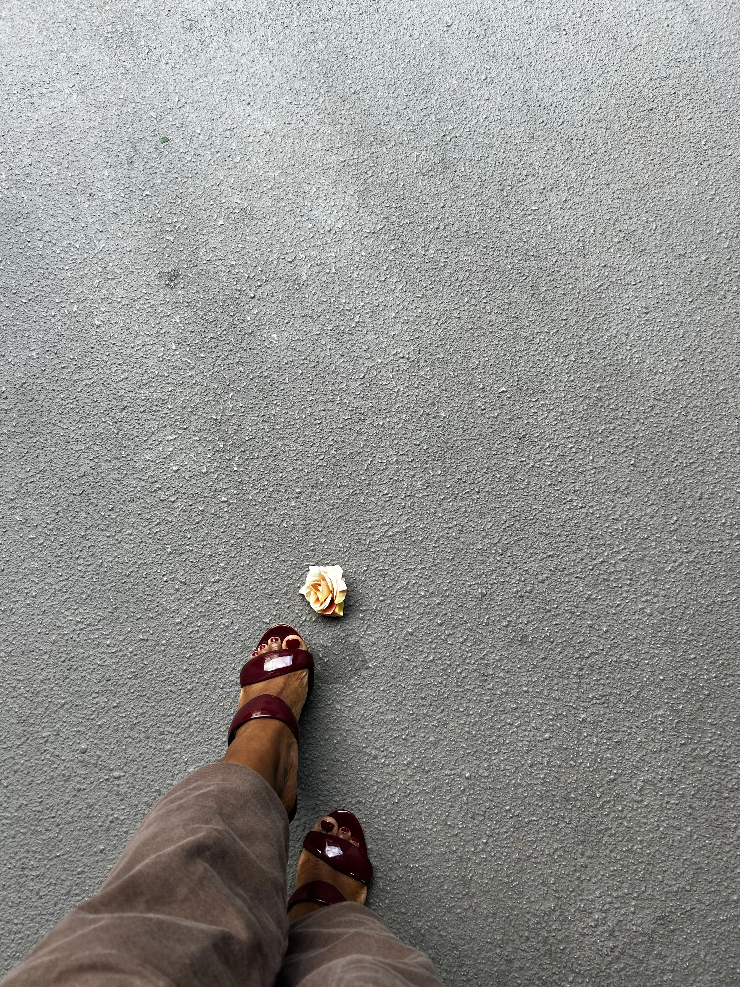 A single pale rose lying on gray pavement beside burgundy sandals, symbolizing softness in ordinary places.