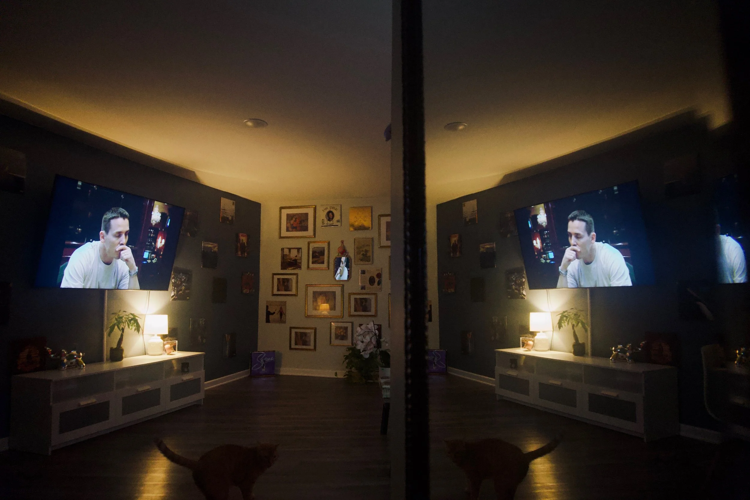 dimly lit cozy room with wall art and a tv, reflected in a mirror, with a cat in the foreground