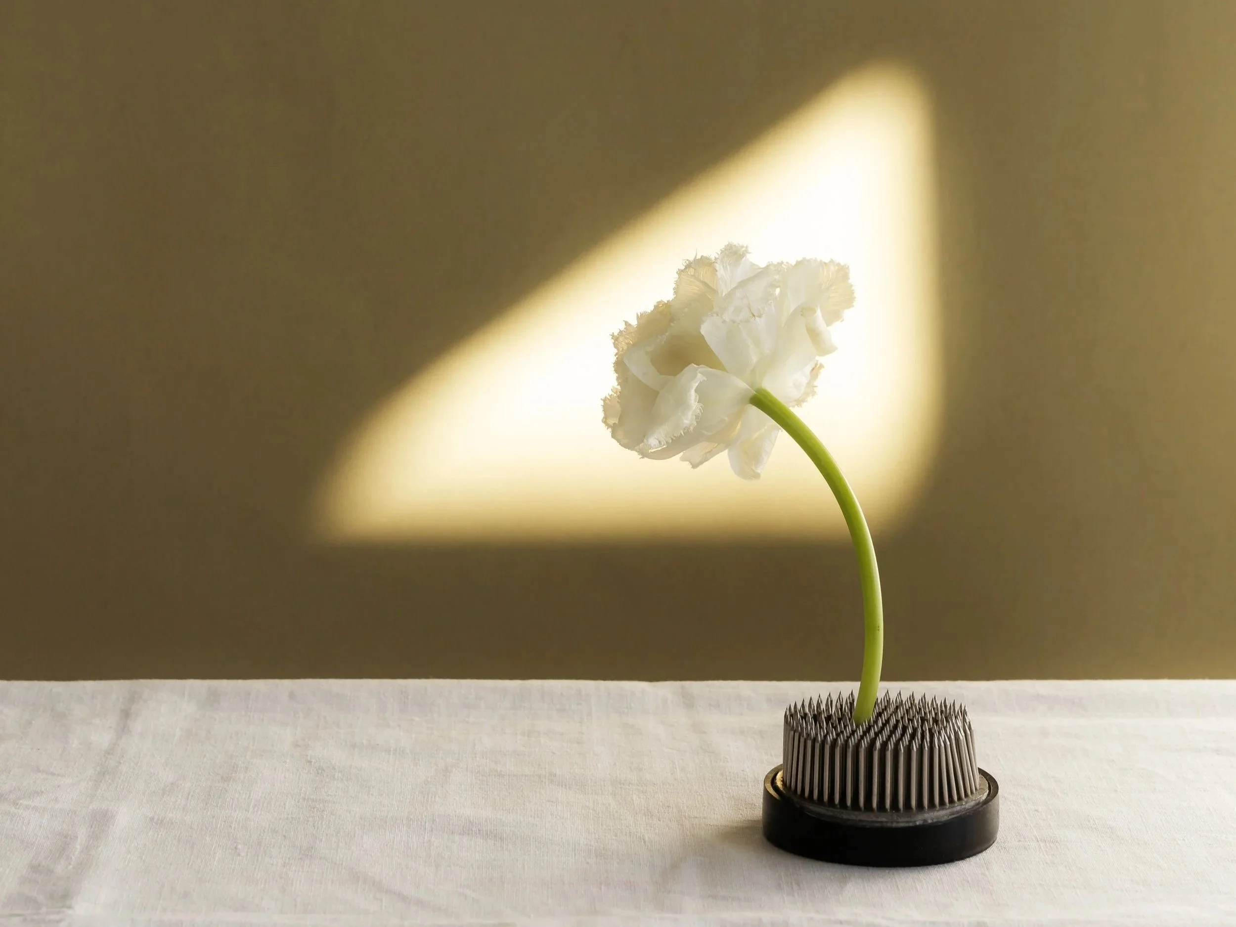 The Hard, Messy, Complex, and Beautiful Plight of Surrender