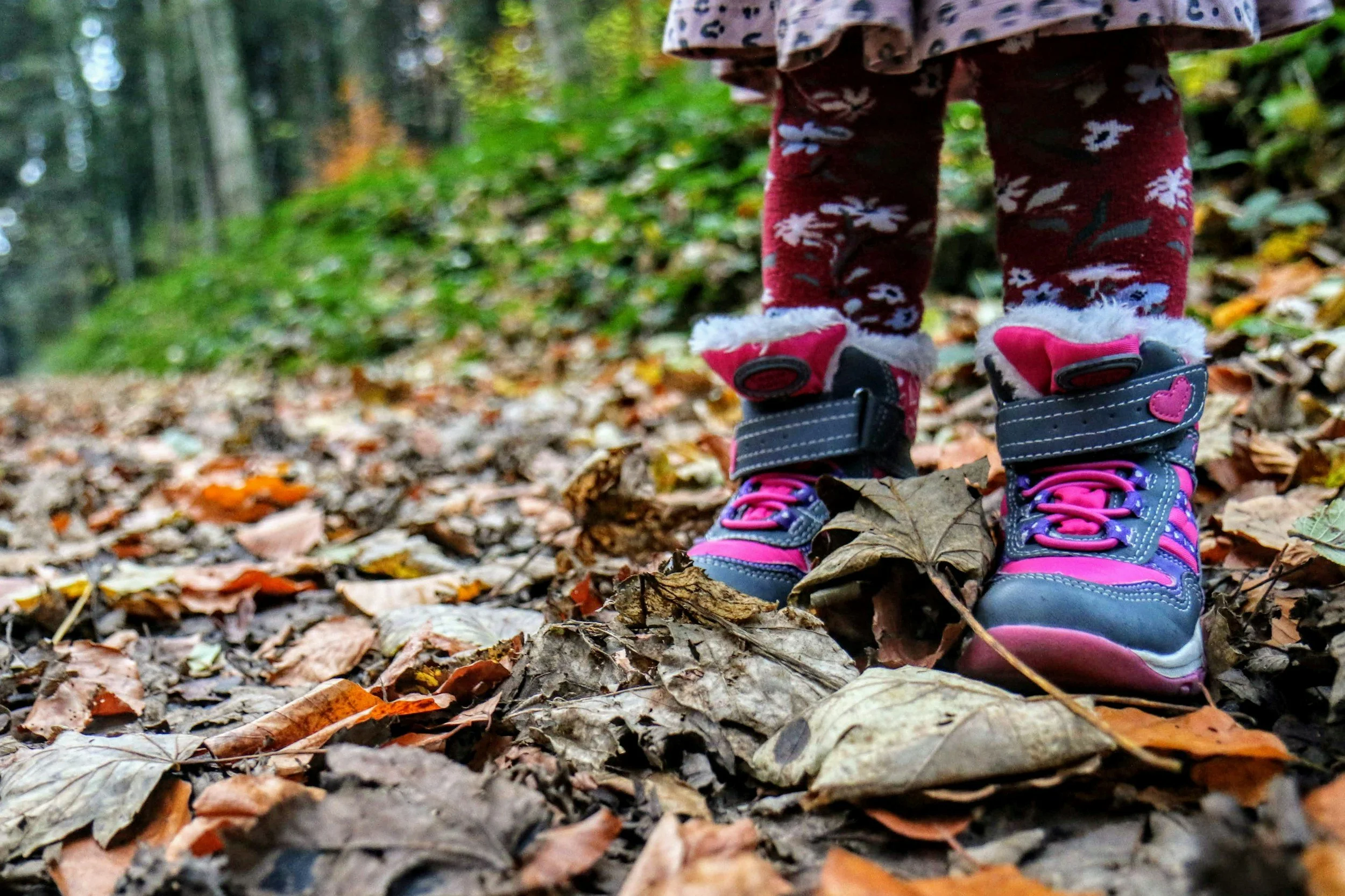 A picture of child's boots on Fall leaves in the forestge.