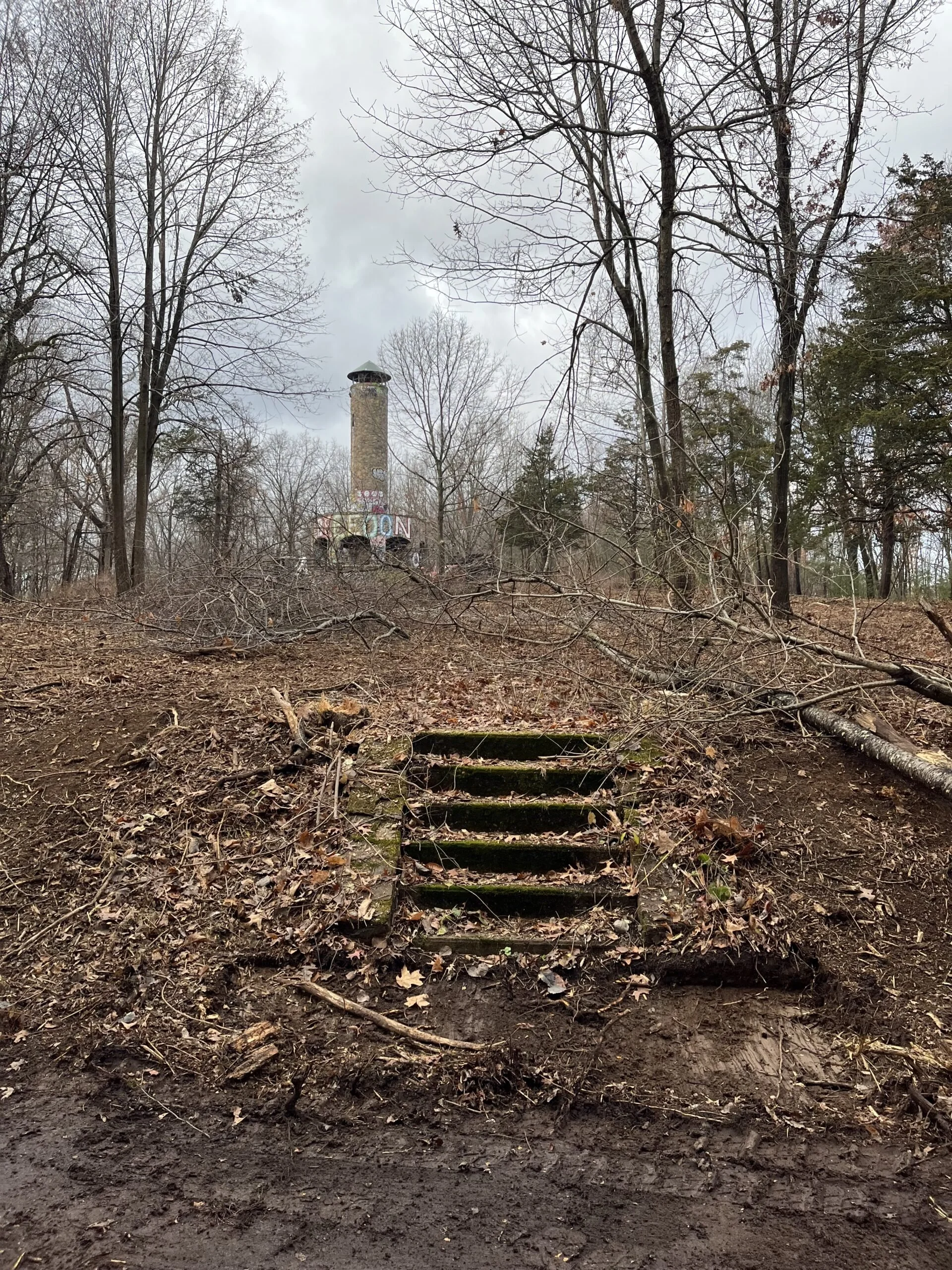 Bringing Anniversary Hill Back to Life