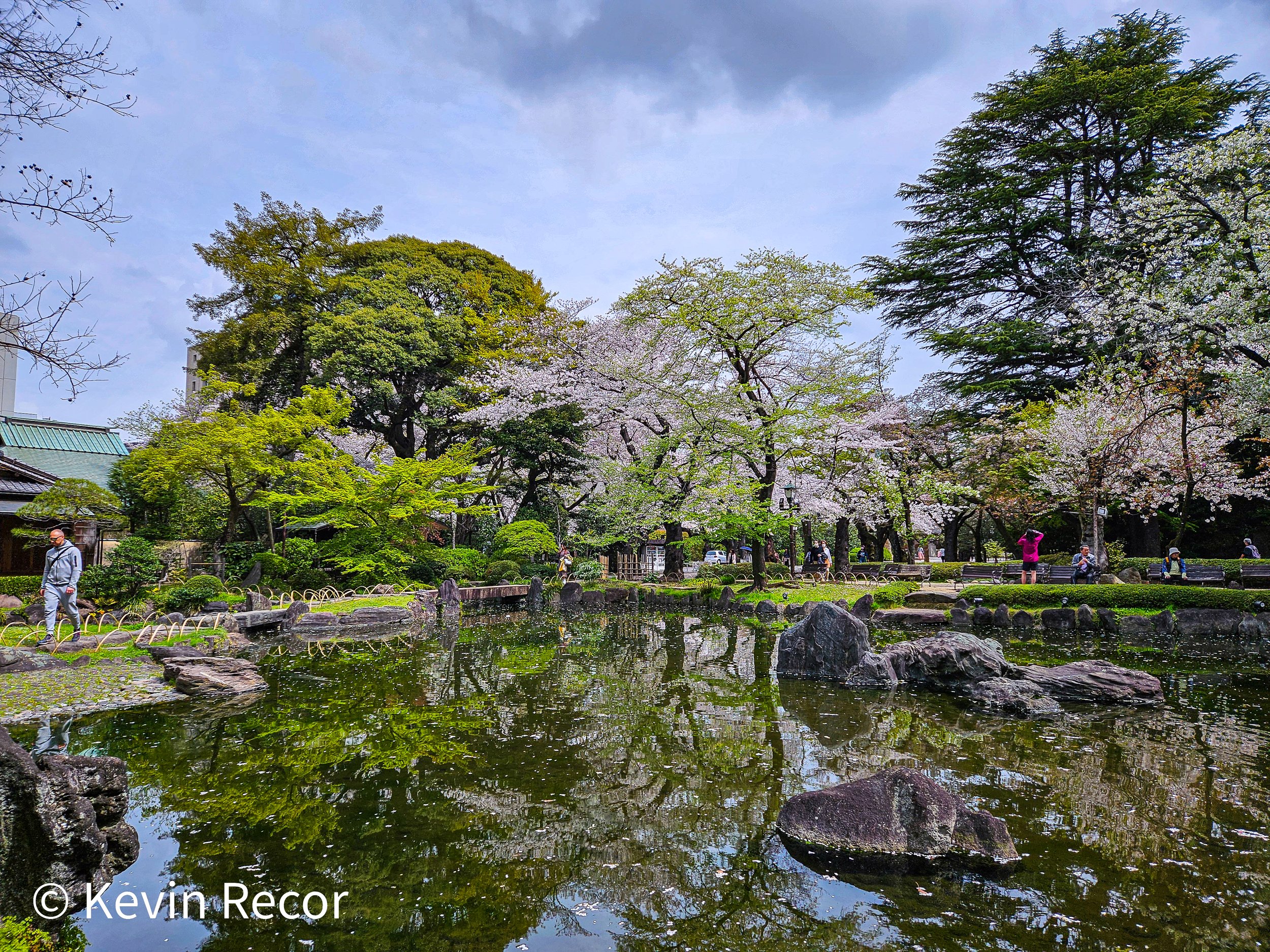 Shinchi Gardens. Tokyo, Japan. 4/2024.