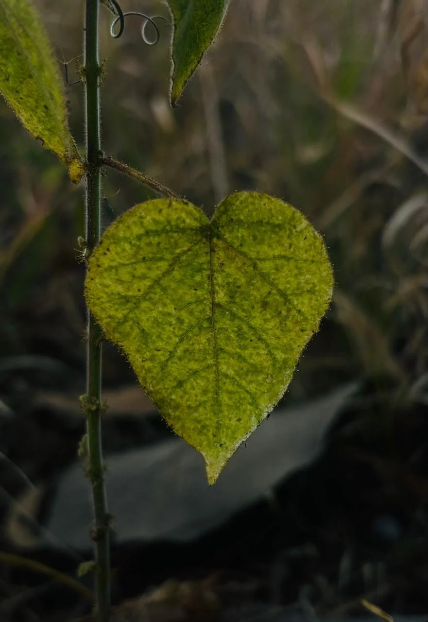 En el mes del amor y la amistad, una aclaración…