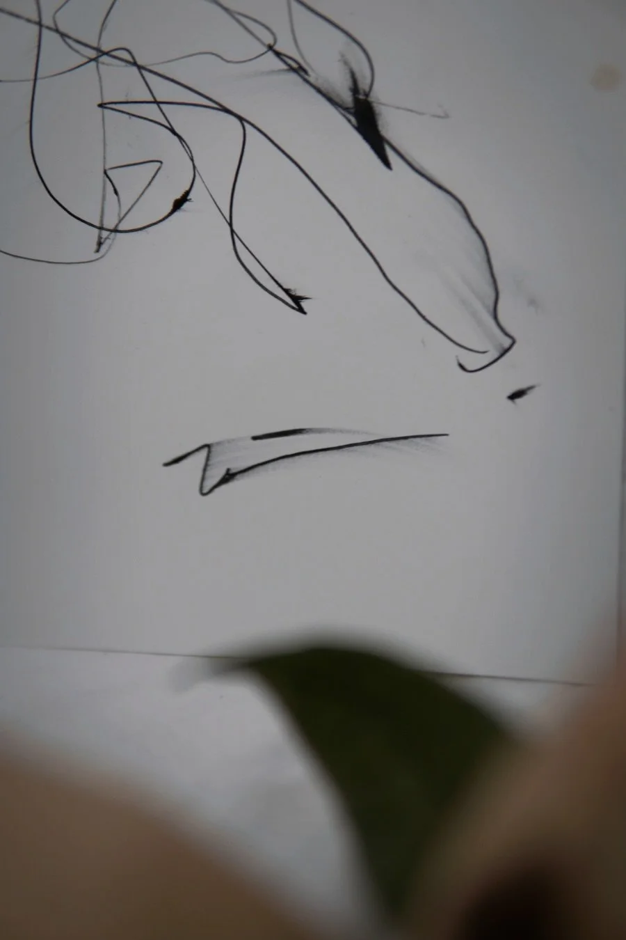 Facetune_19-02-2023-07-48-37 (1).jpg