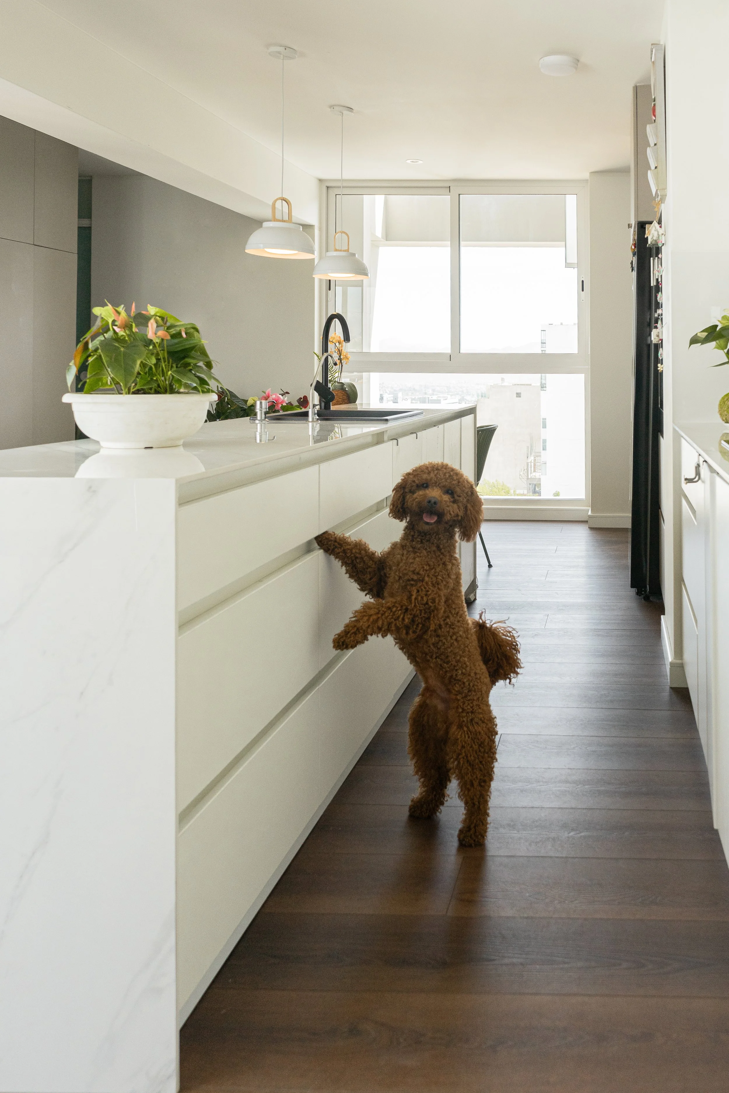 2024 11 11 Departamento Los Guindos_Cerf_ (8).jpg