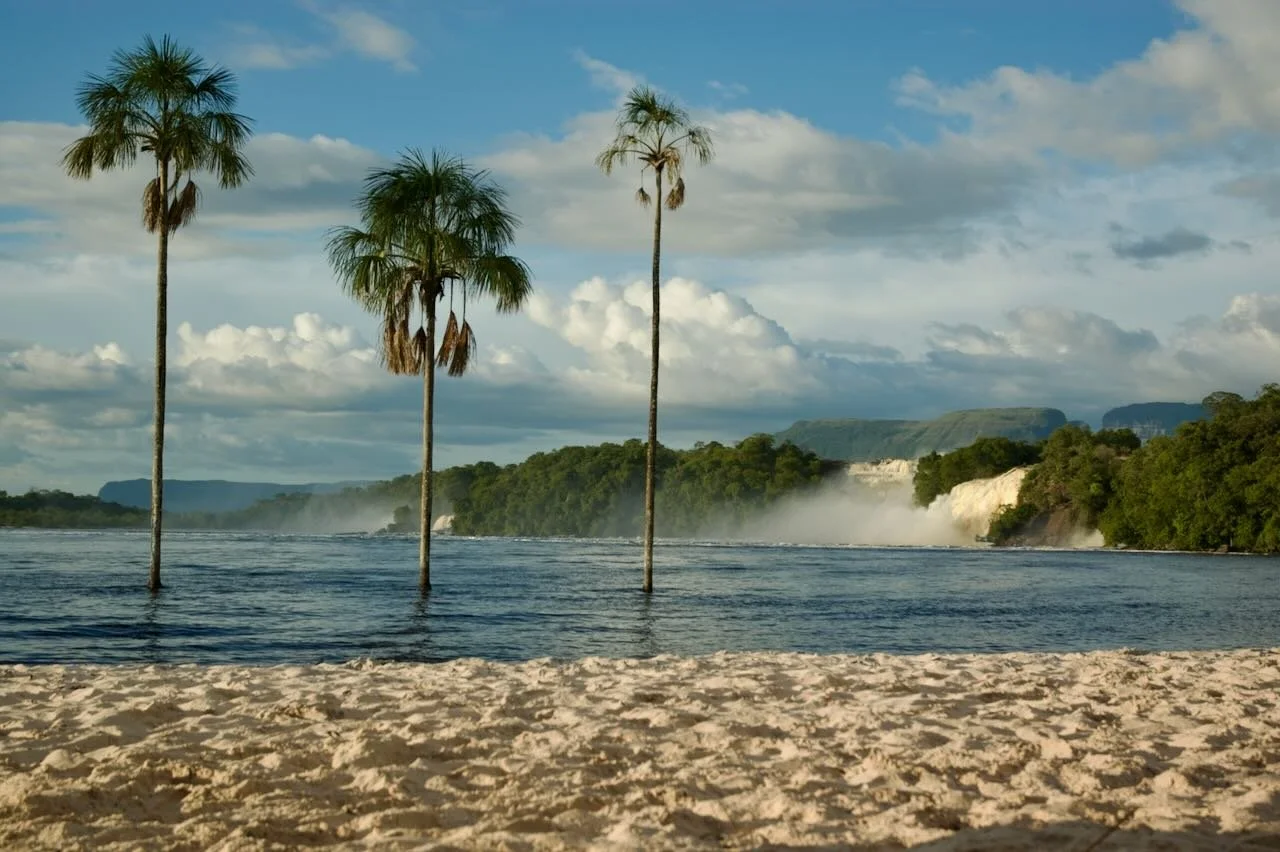 Vagus Nerve Stimulation: The New FDA-Approved RA Treatment