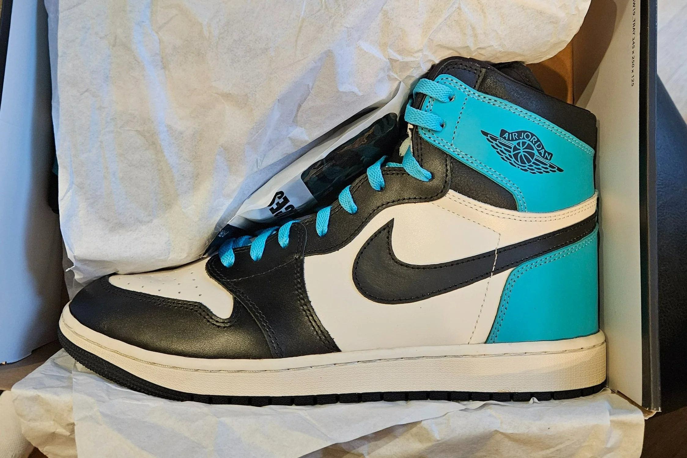 Turquoise High.jpg