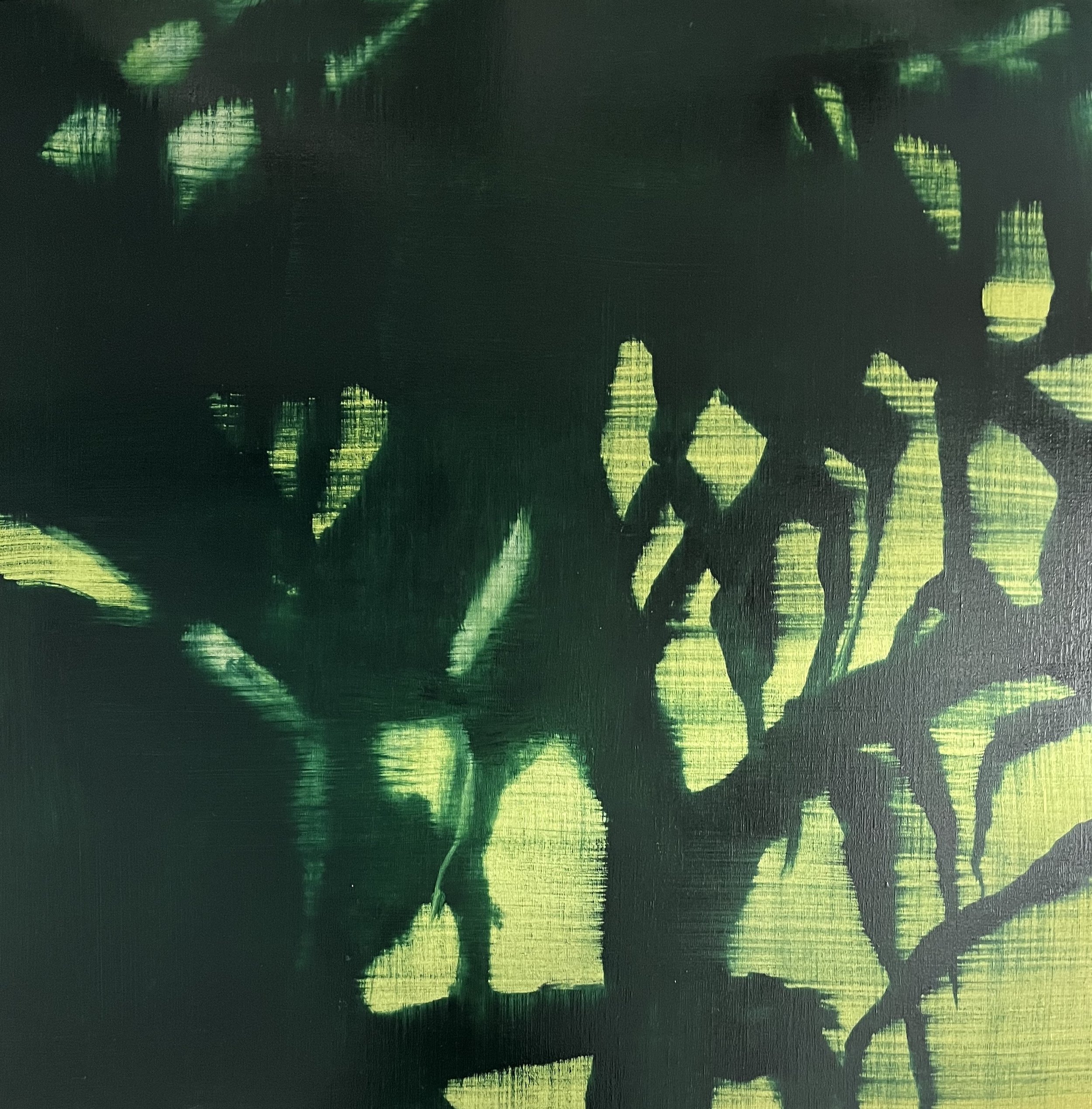 Light through pandanas (II)