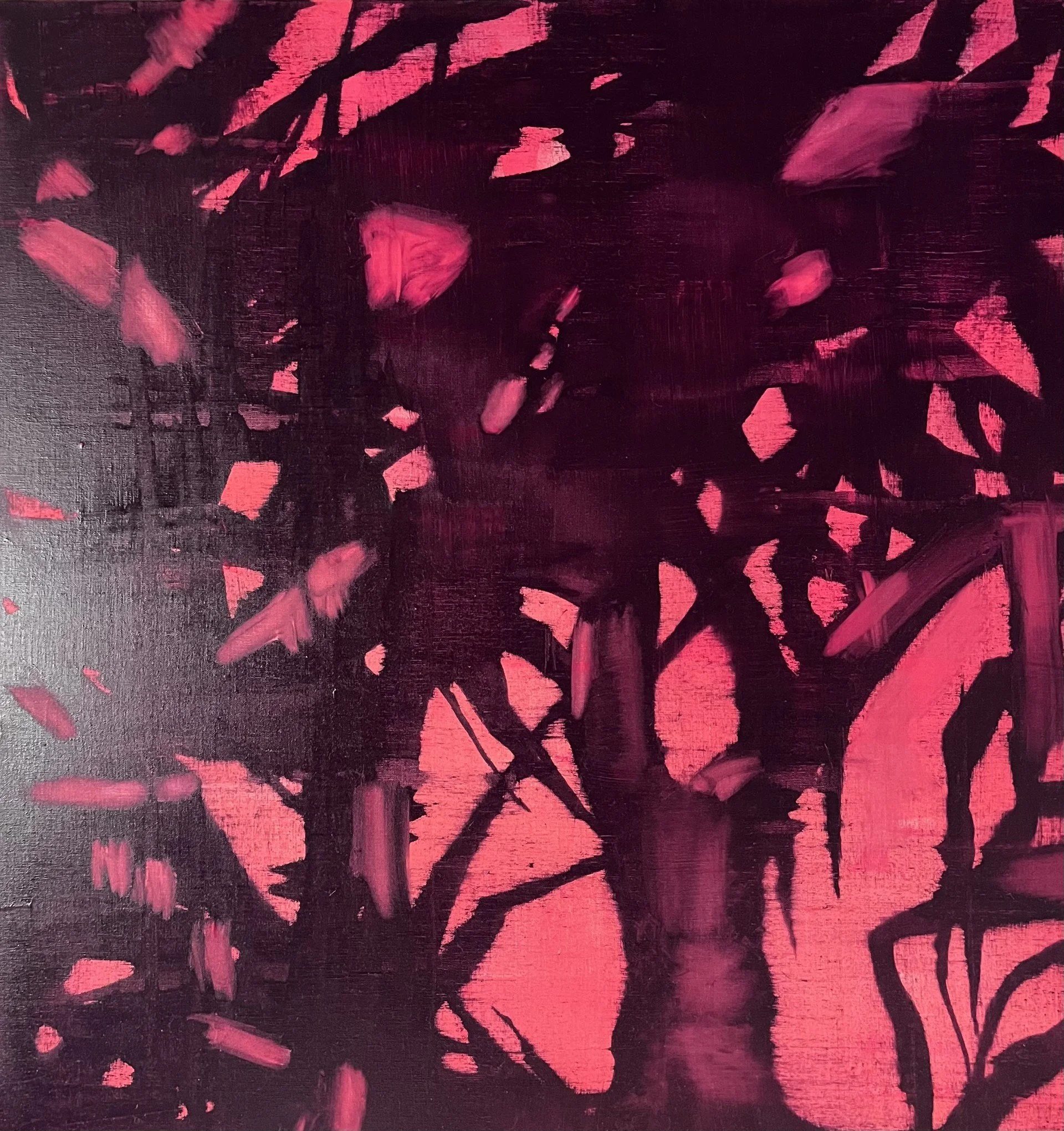 Pink light through pandanus