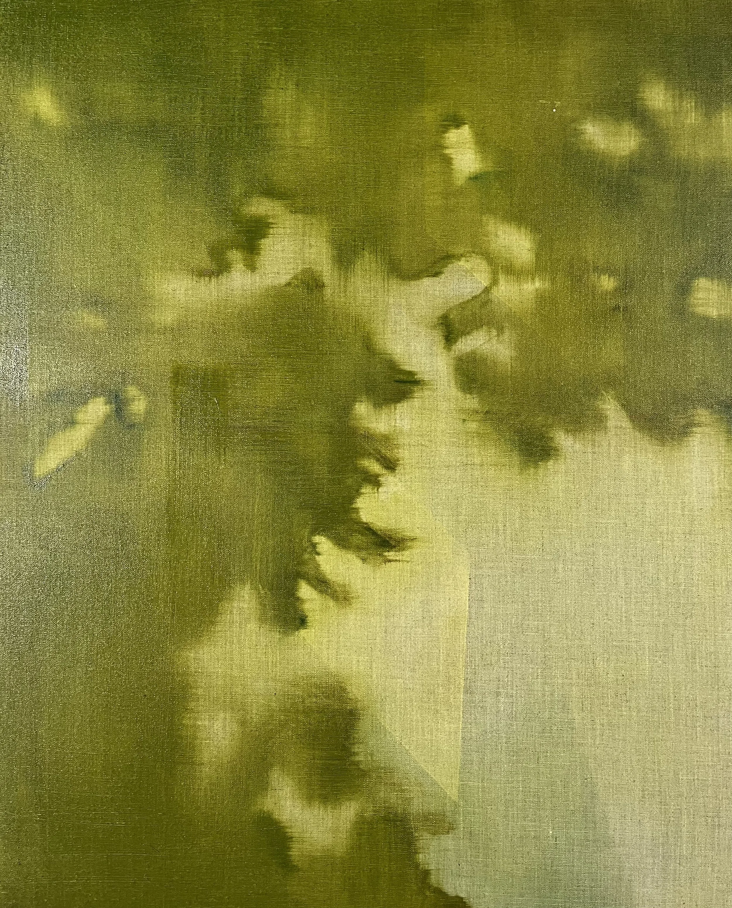 Shadows are falling (II)