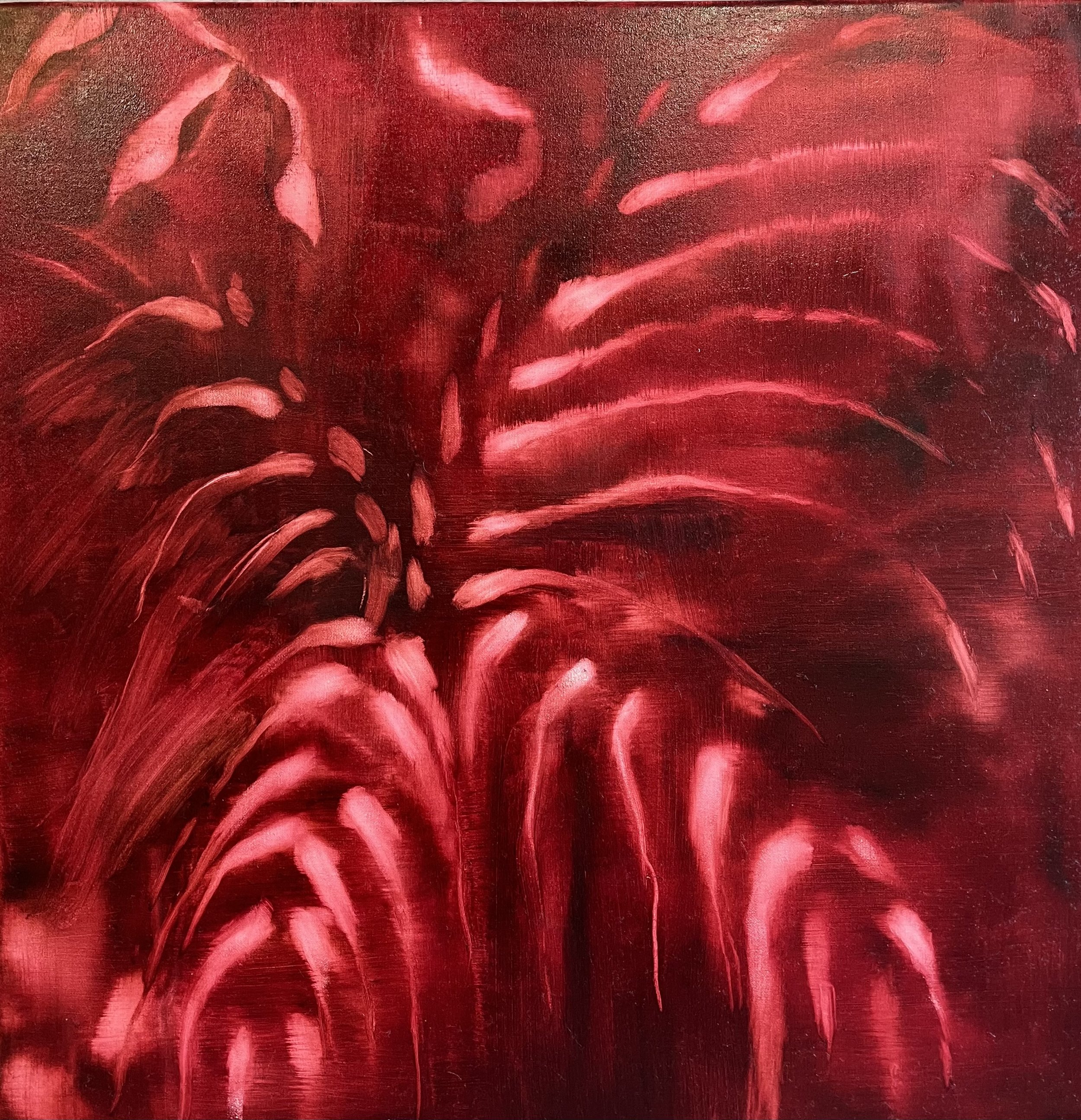 Light on the forest floor