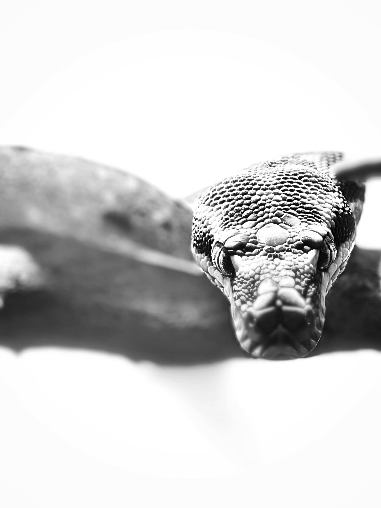 IMG_6446.jpeg