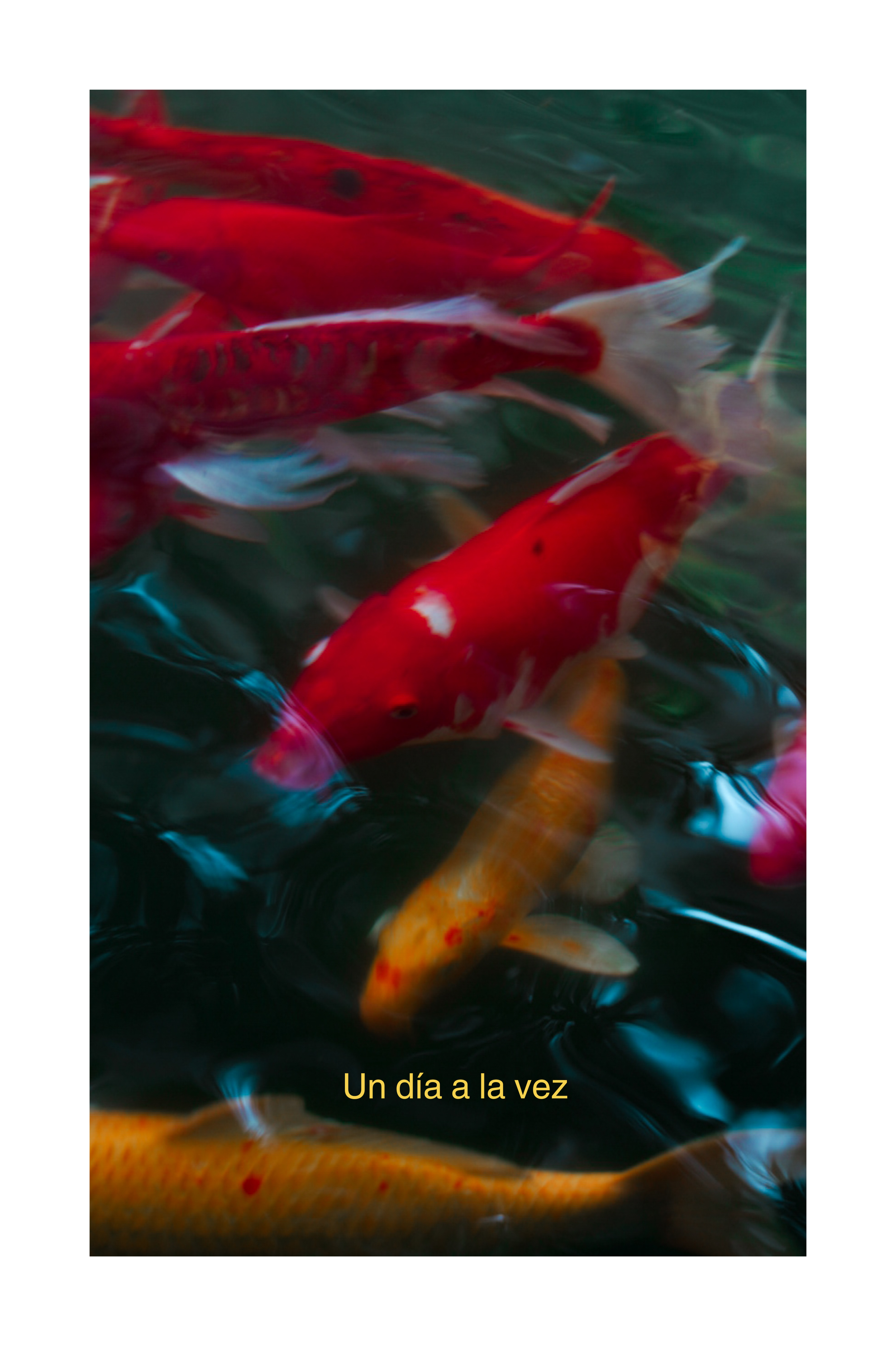 Un día a la vez.png