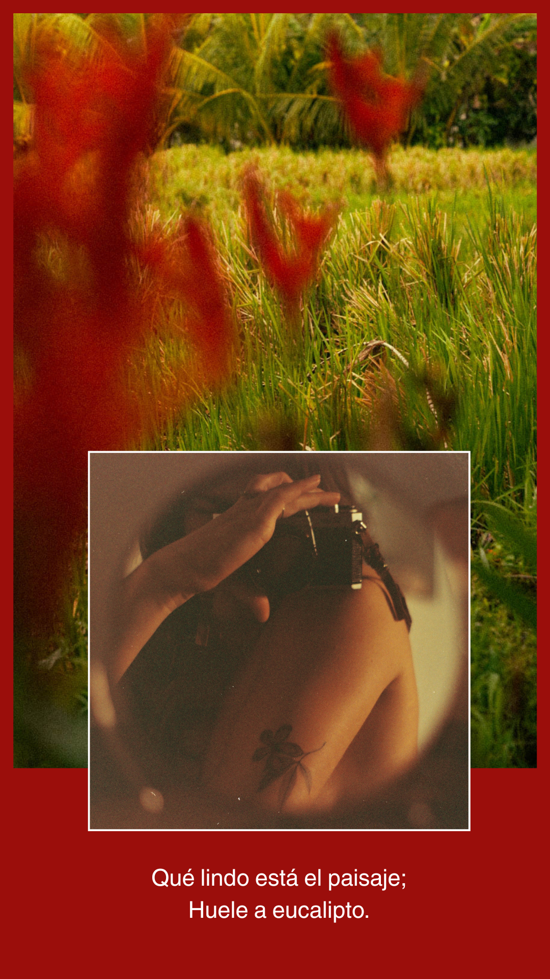 Collages flora - 67.png