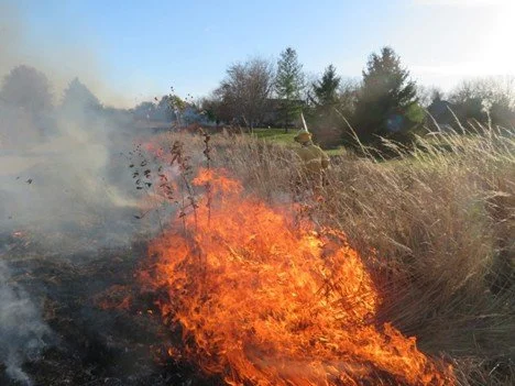 Spring 2026 Burn Update
