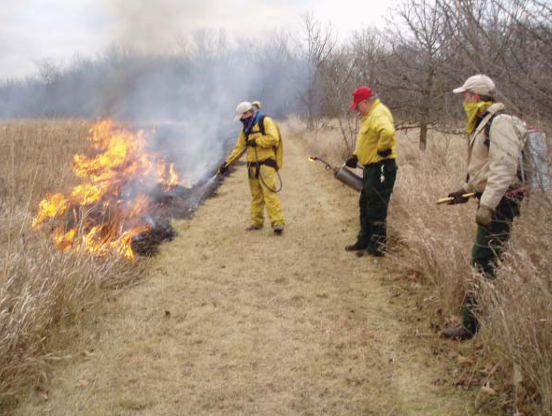 Importance of Prairie Burns