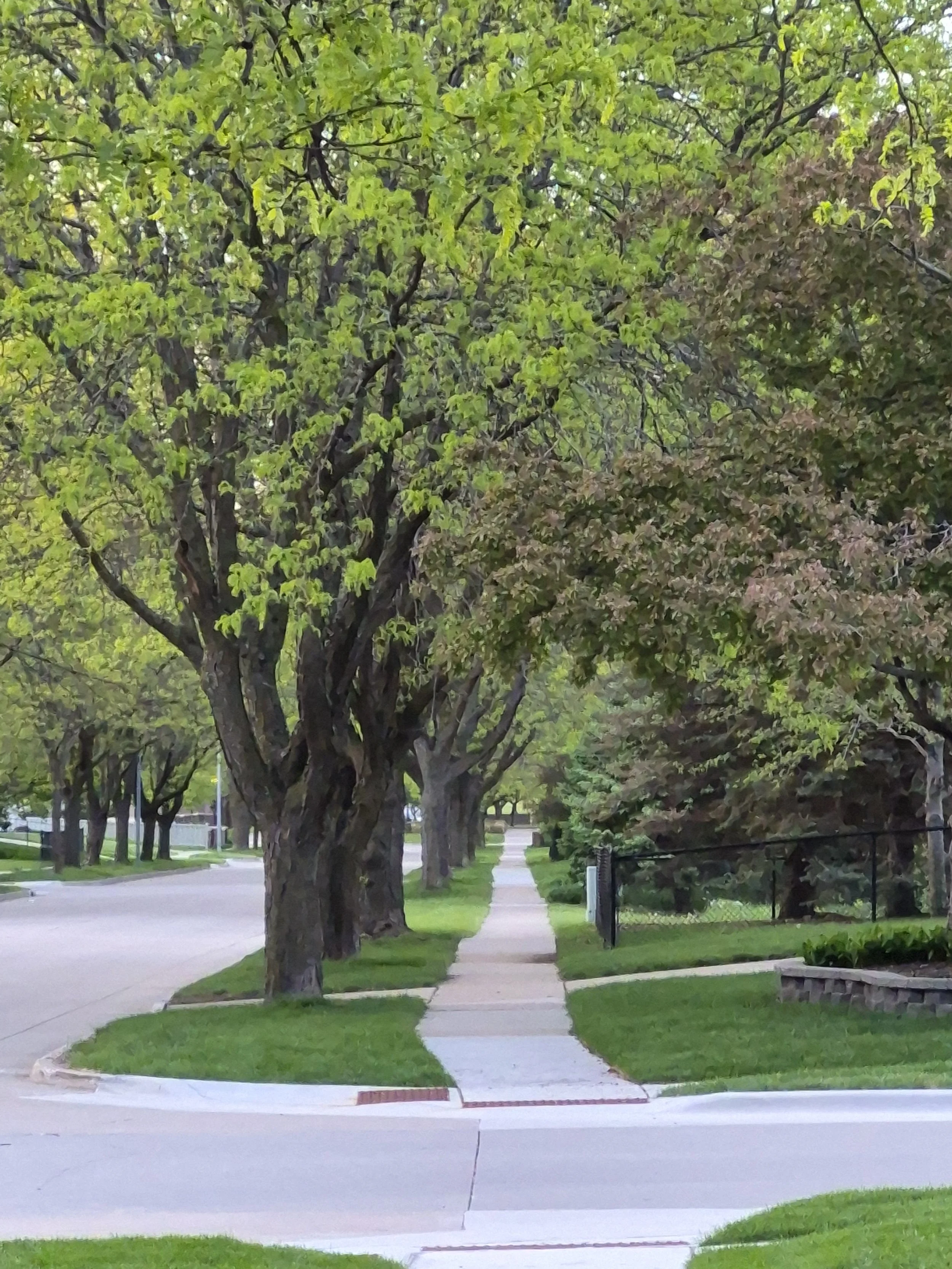 Grounds &amp; Property Summary of Work - Spring/Summer 2026