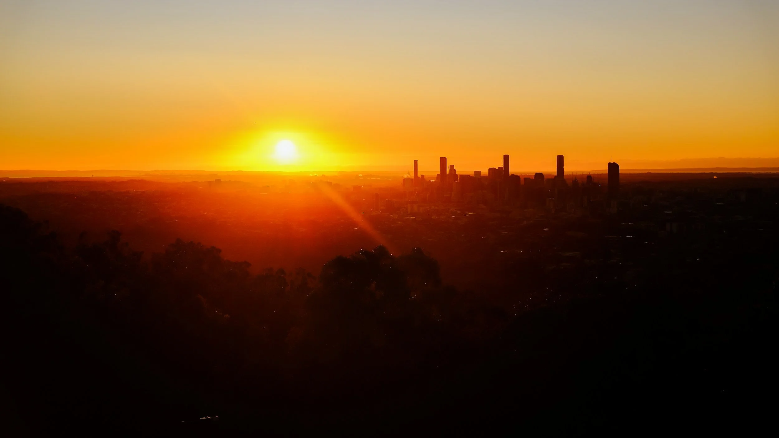 Sunset over a city skyline with tall buildings, with silhouettes of trees in the foreground