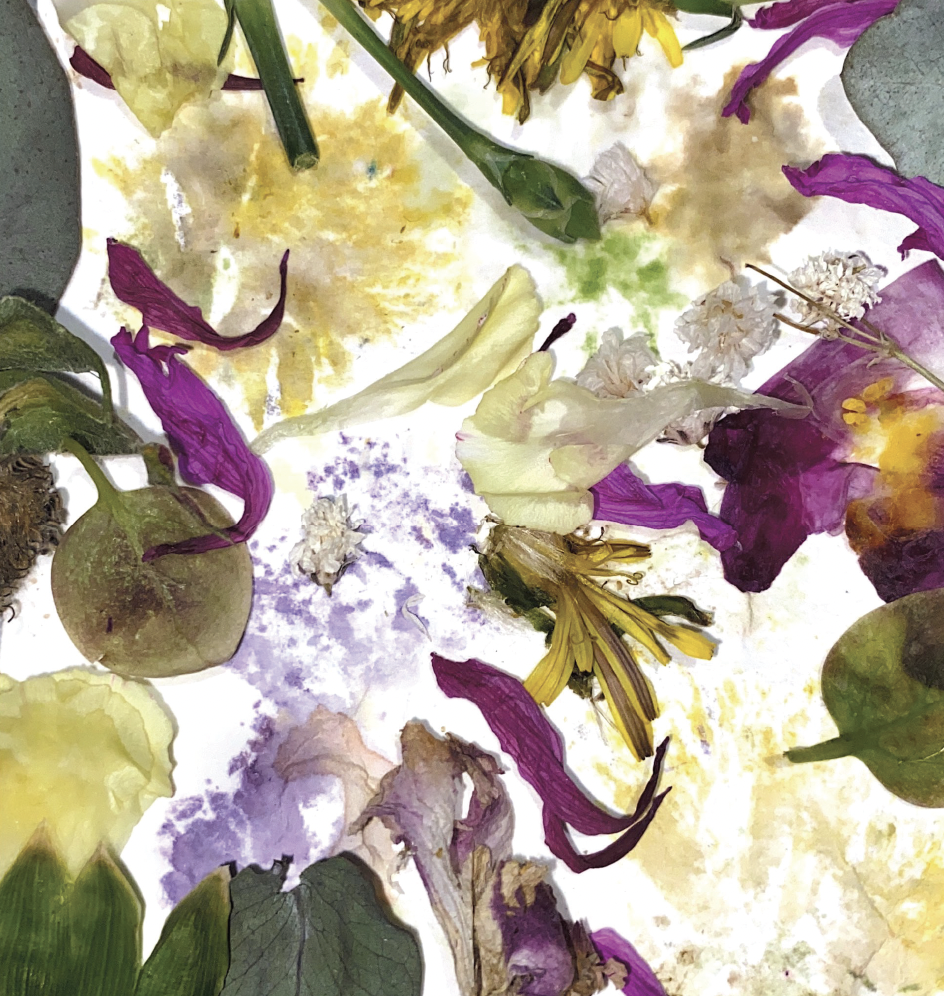 Screenshot 2025-05-08 at 8.29.56 pm.png