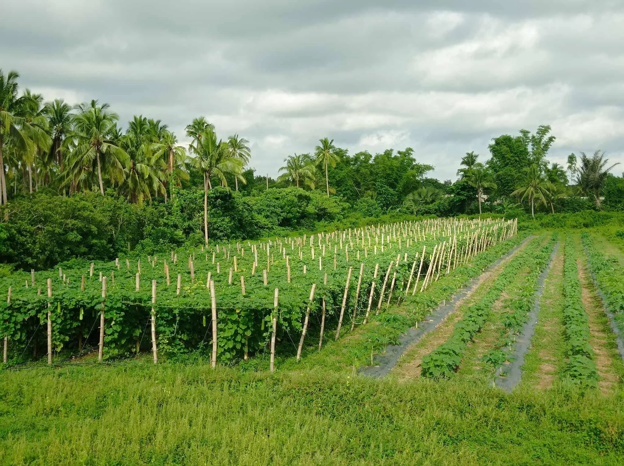 2ebf0973-6b22-42a8-a3c9-572c0187cf54 (1).jpeg