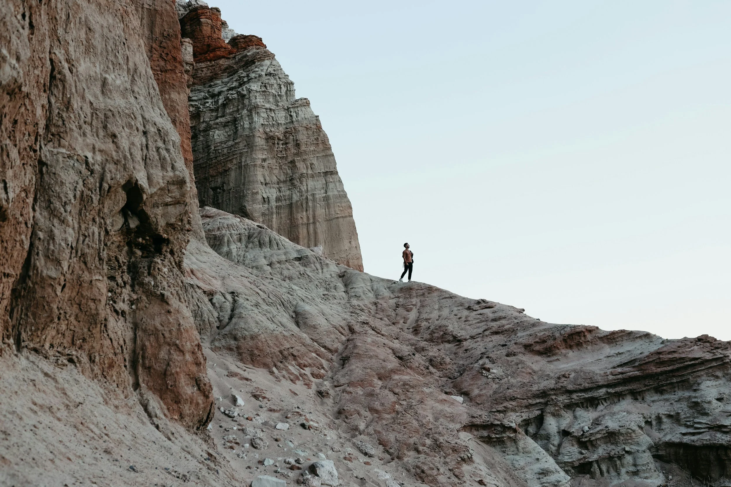 Navigating the Cliff: Engineering Economic Mobility A Virtual Conversation on the Benefits Cliff Effect