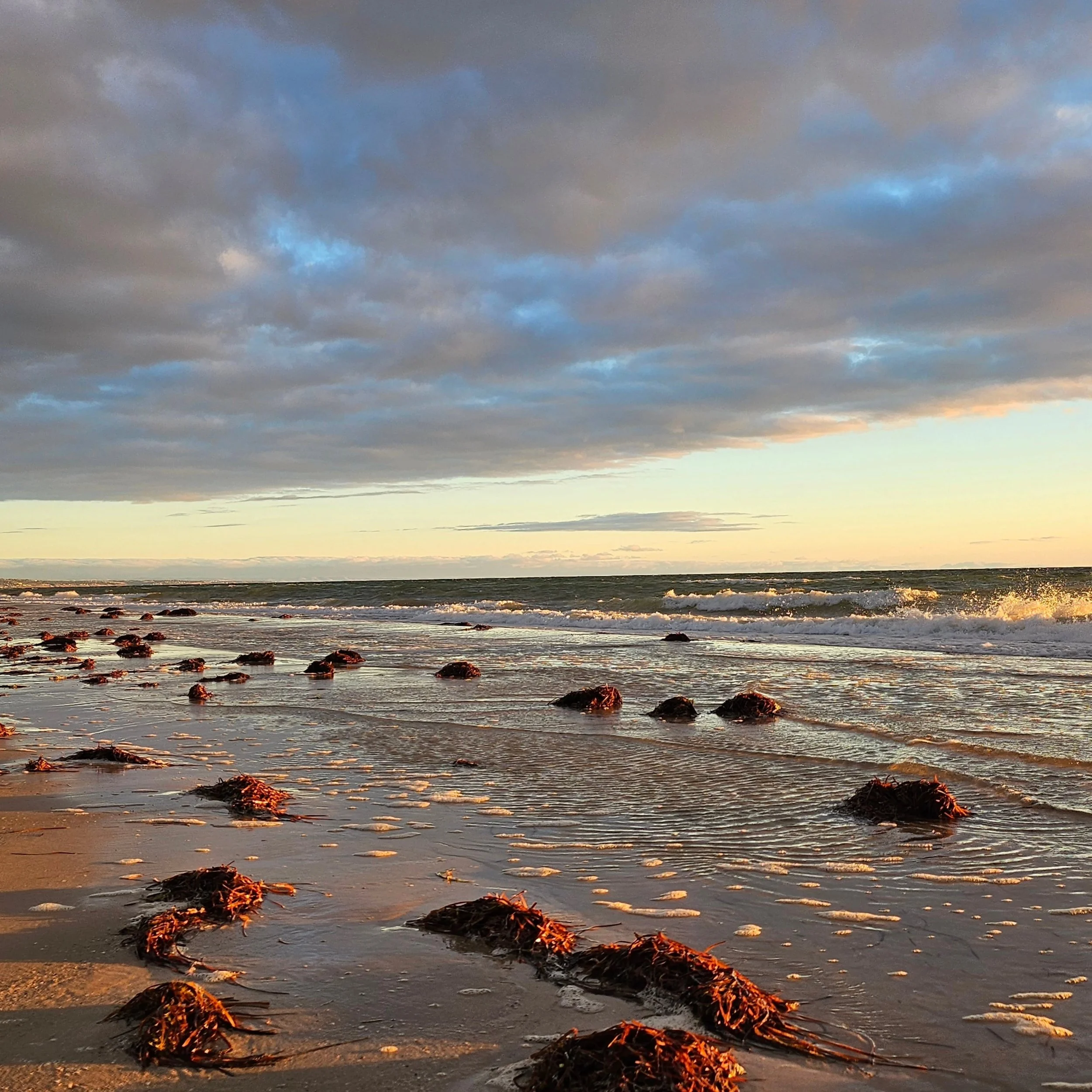 A few snippets of life latley 🌿

I've currently been working on growing my art business and theres a lot to learn! 🙊 Also learning to paint watercolour again, as you can see in my last couple of photos 😄 

Really listening to my heart and where I 