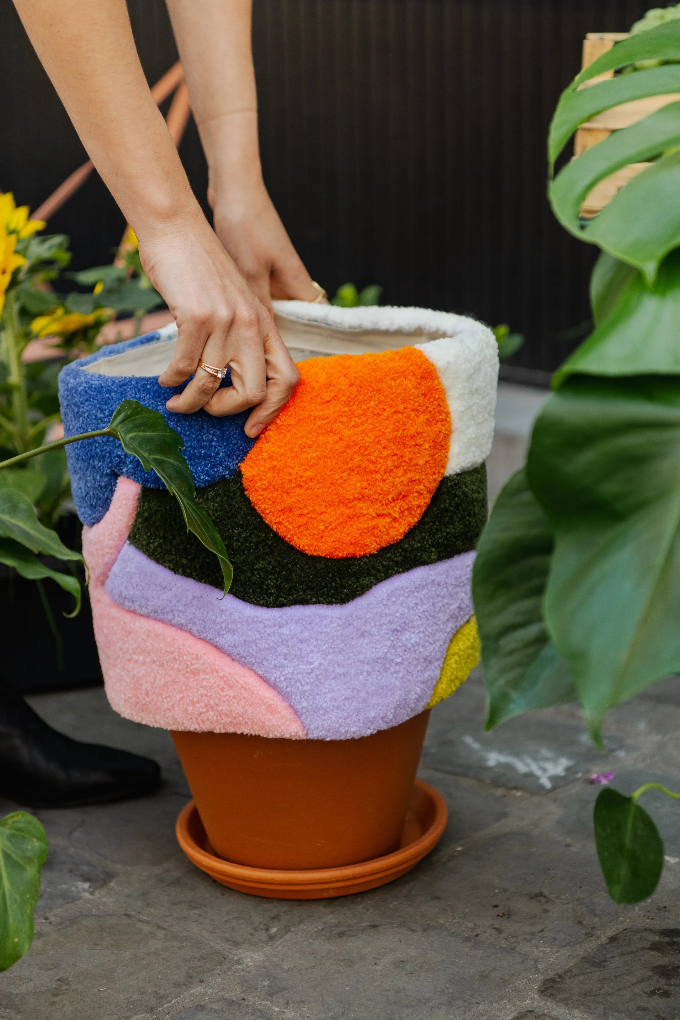 Plant cover •  2023 (© Birgit Sterckx)