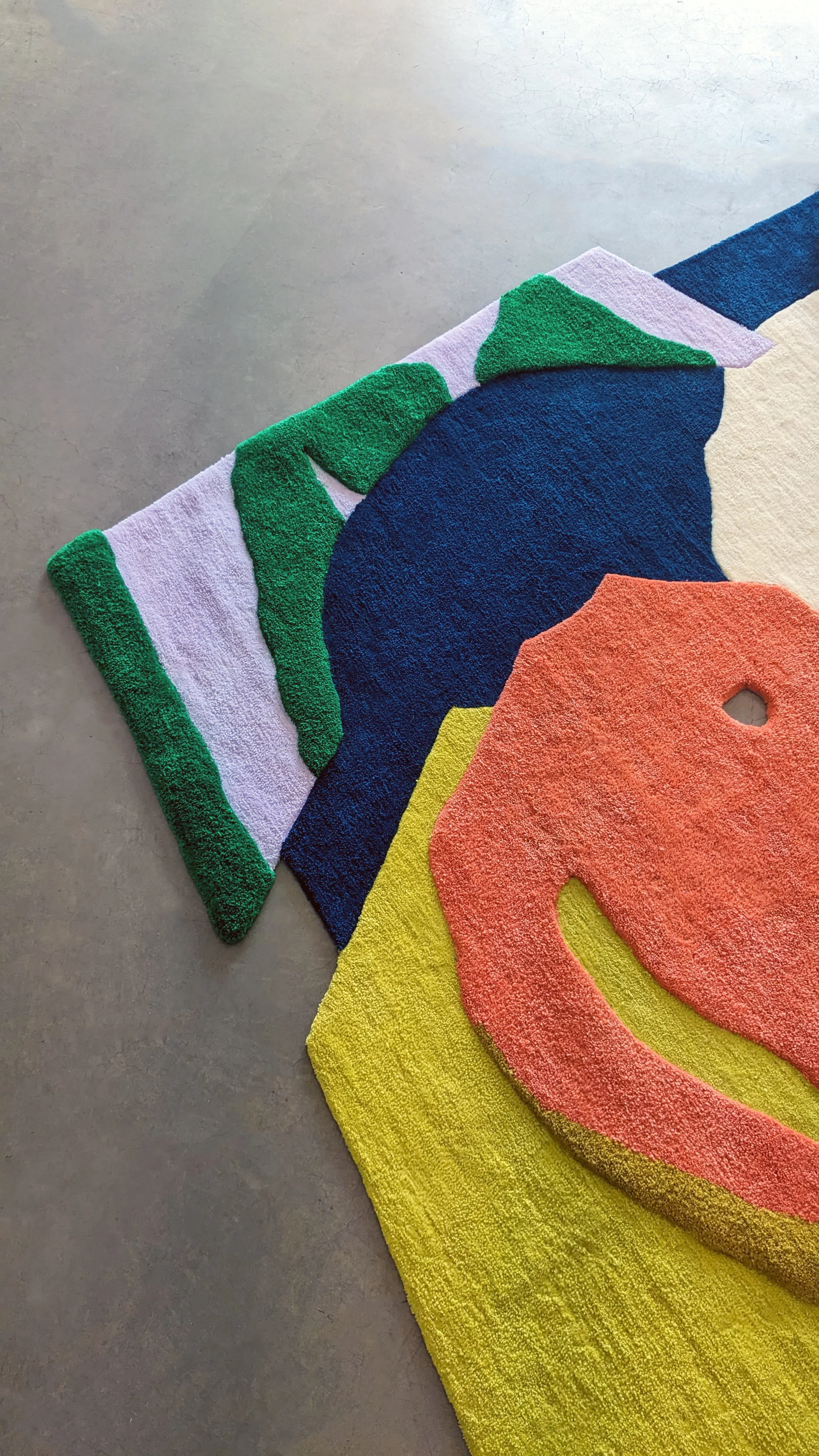 Close-up of a tufted rug in an art gallery space.