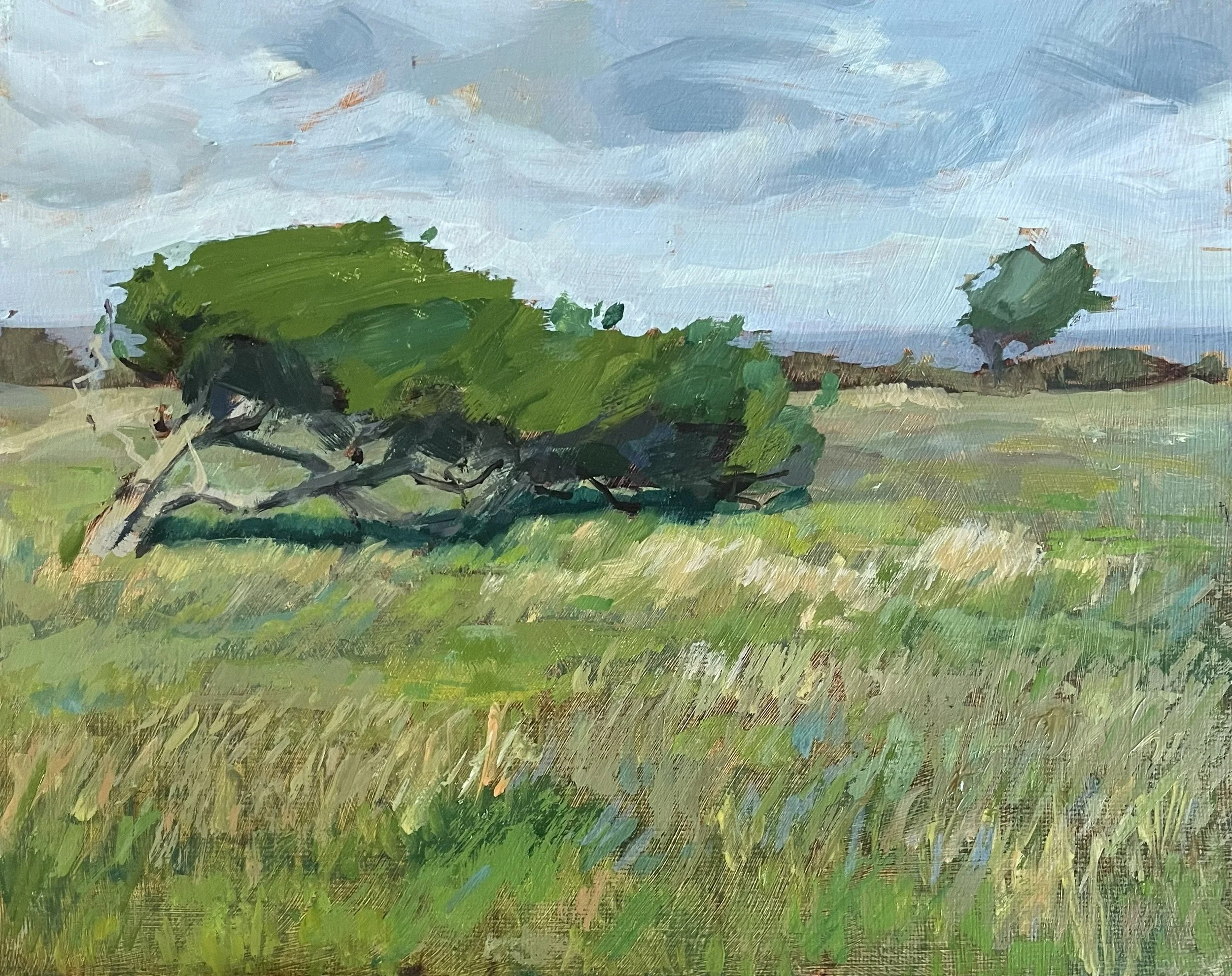 Windblown in Wareham