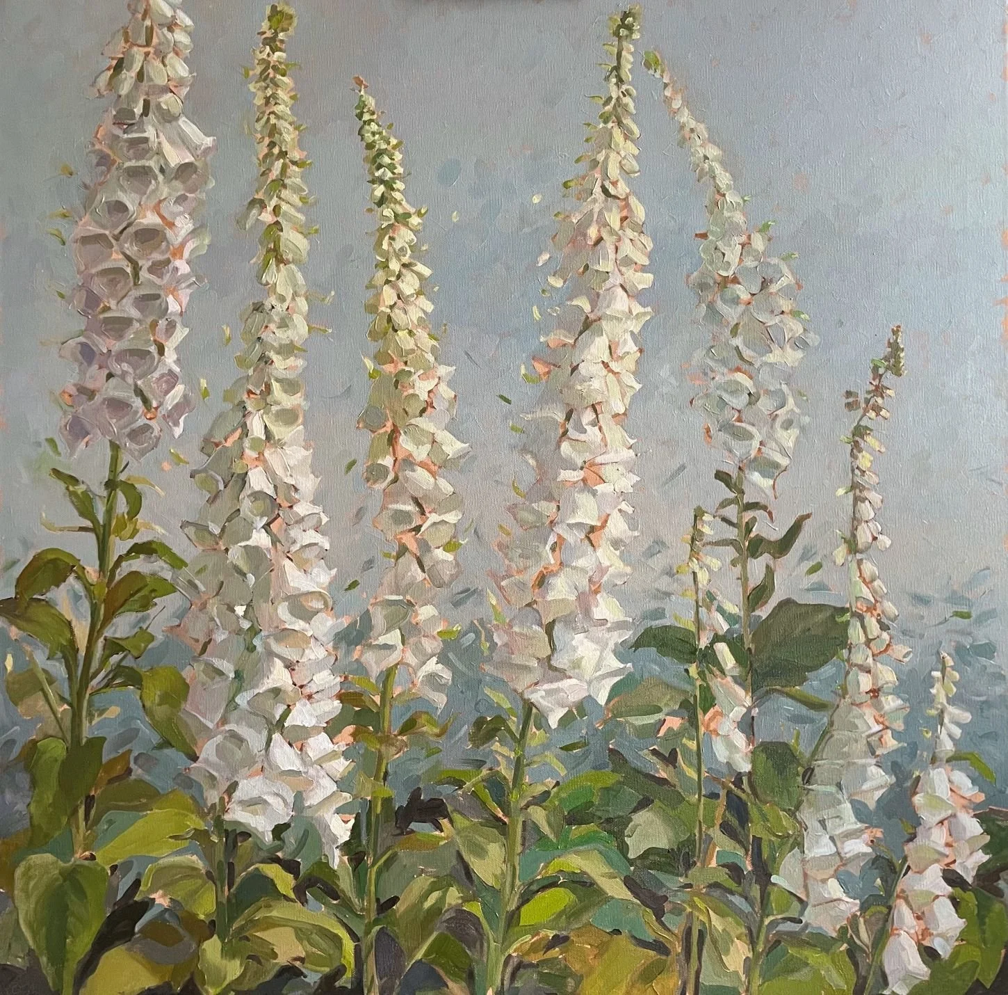 foxgloves.jpg