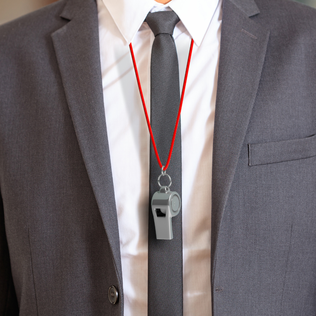 Sport consultancy service, Governance