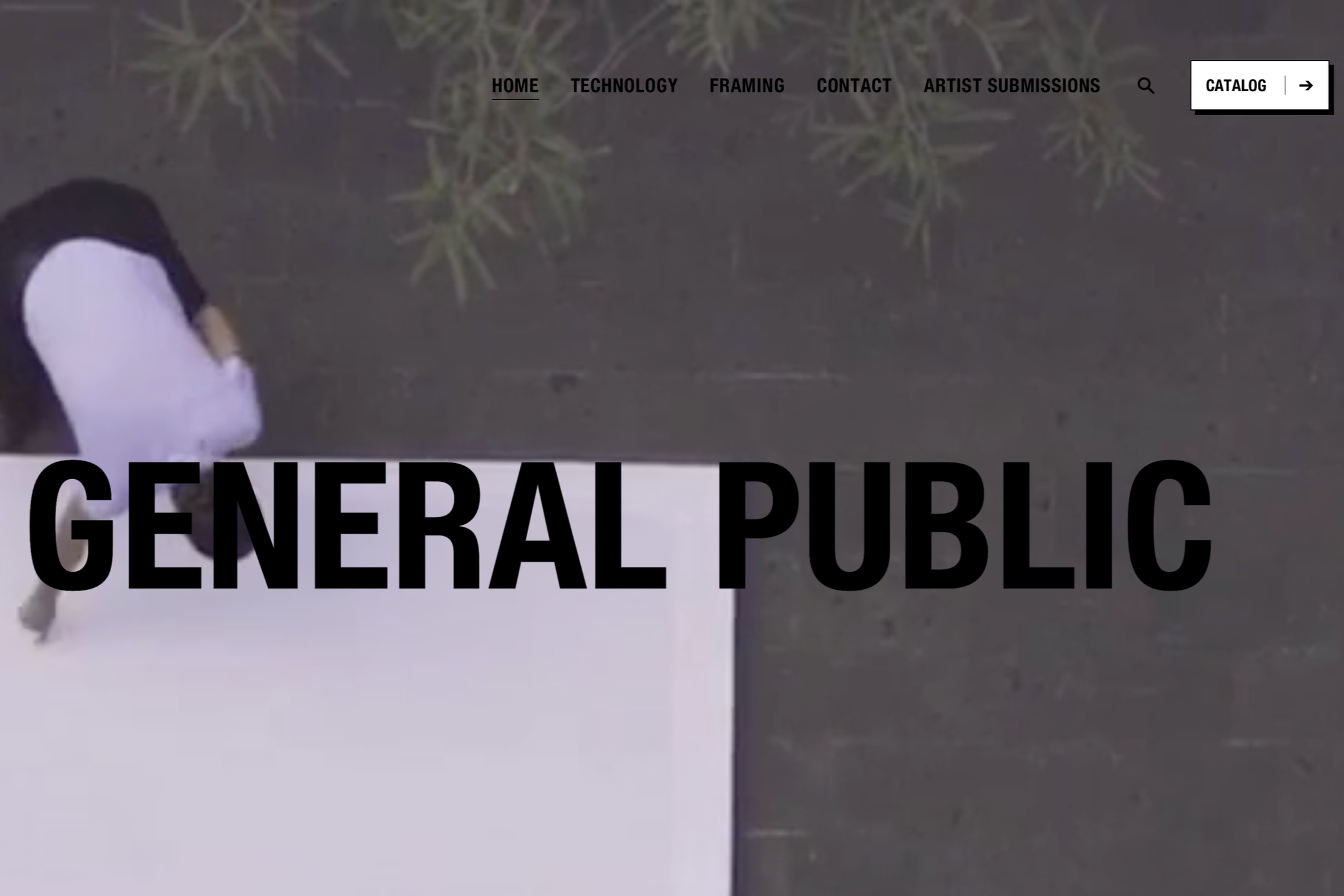 GENERAL PUBLIC WEBSITE | GENERAL PUBLIC