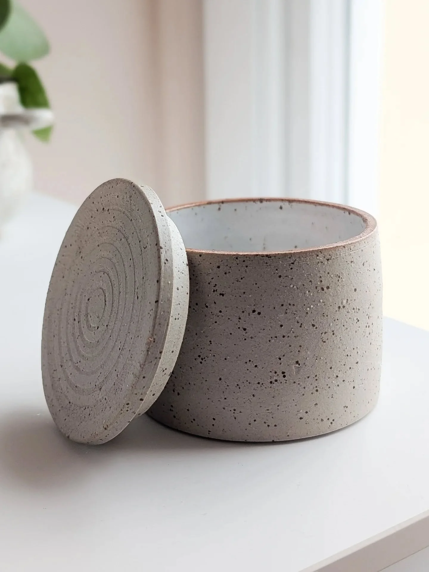 My little salt jar - raw speckled stoneware glazed with a glossy white inside and a textured lid. She's simple but I'm into it 🤍

#stoneware #madeinclay #wheelthrown #ceramics #functionalceramics #cornersofmyhome #kitchenvessels #slowliving #slowhom