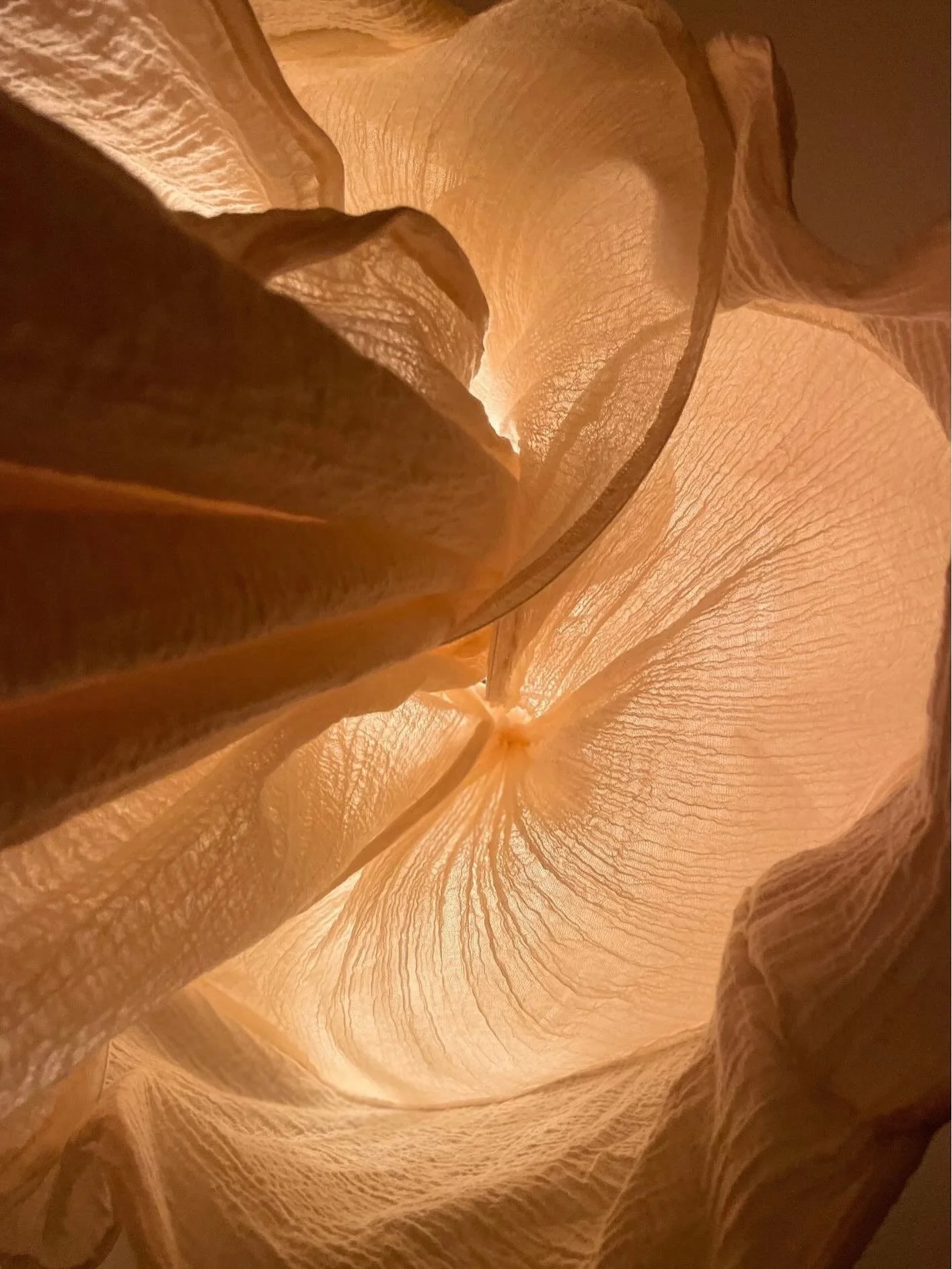 Chasing the dialogue between form and light.