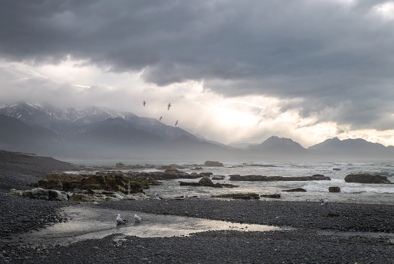 25_on-the-other-side_Kaikoura-Kaikōura_SalomeWeber_1500px.png