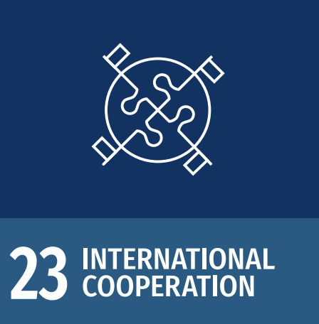 Icon of interconnected puzzle pieces over a globe representing international cooperation for Sustainable Development Goal 23.