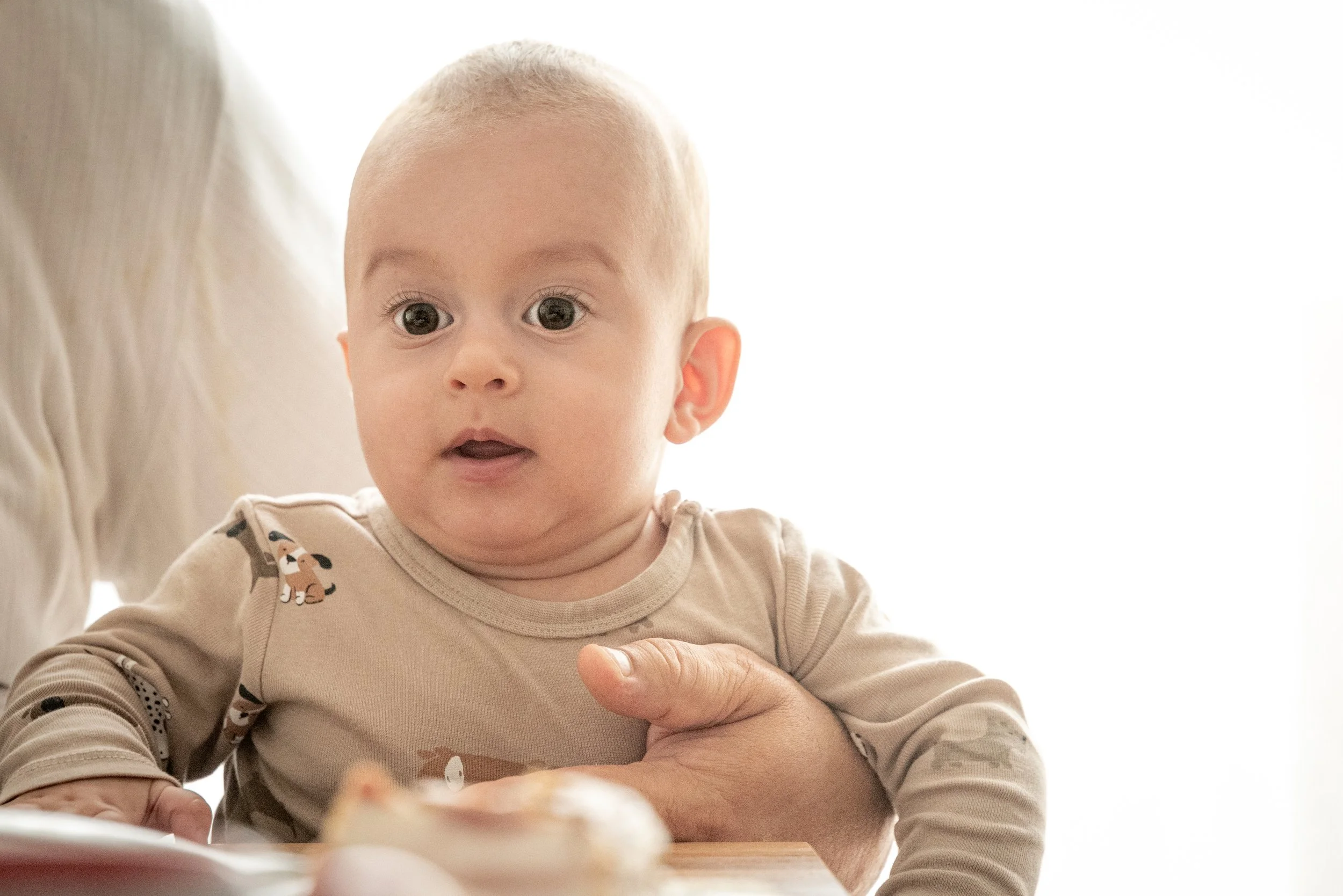 Baby in beige onesie with animal print, held by adult's hand.