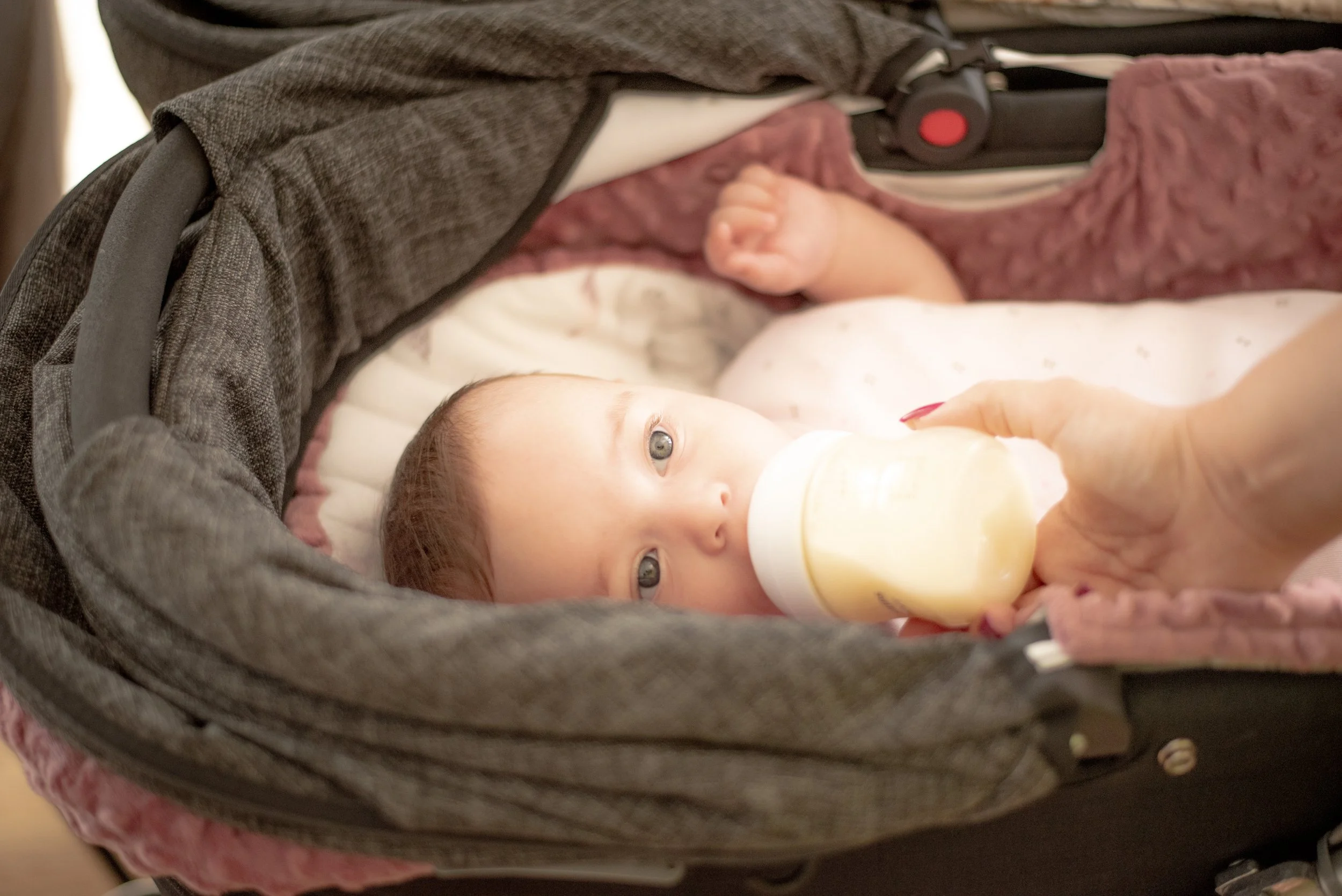Baby lying in a stroller, drinking from a baby bottle held by an adult hand.