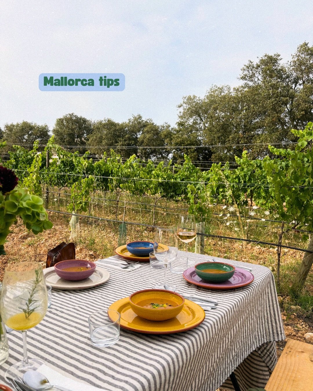 Een tripje naar Mallorca vraagt natuurlijk om wijn-tips! 

📍Colmado Sant Jaume is te vinden in de hoofdstad Palma. Wijnbar 🫱🏻&zwj;🫲🏼 keramiek shop. Een prachtige mix van lokale wijnen en handgemaakte keramiek. Ideaal voor een mooi souvenir voor 