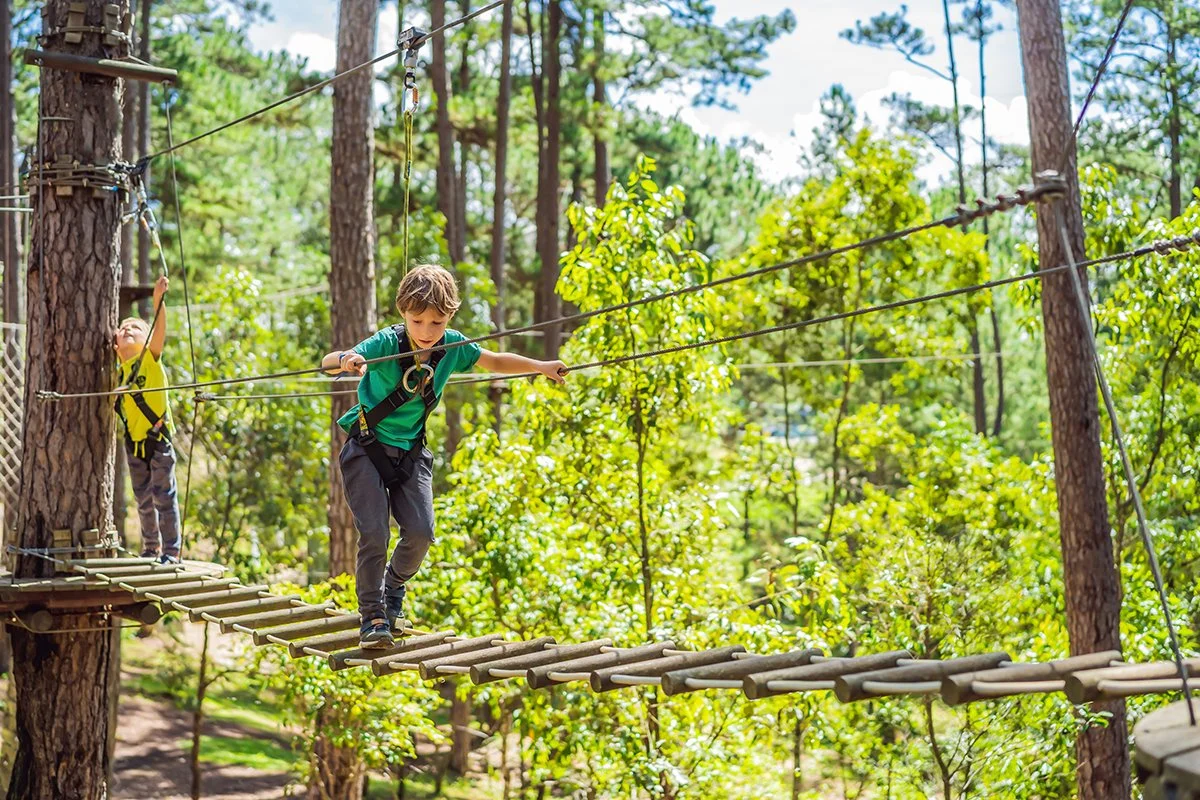 Two children crossing a wooden rope bridge in a forested area, with safety harnesses and exposed trees and greenery.