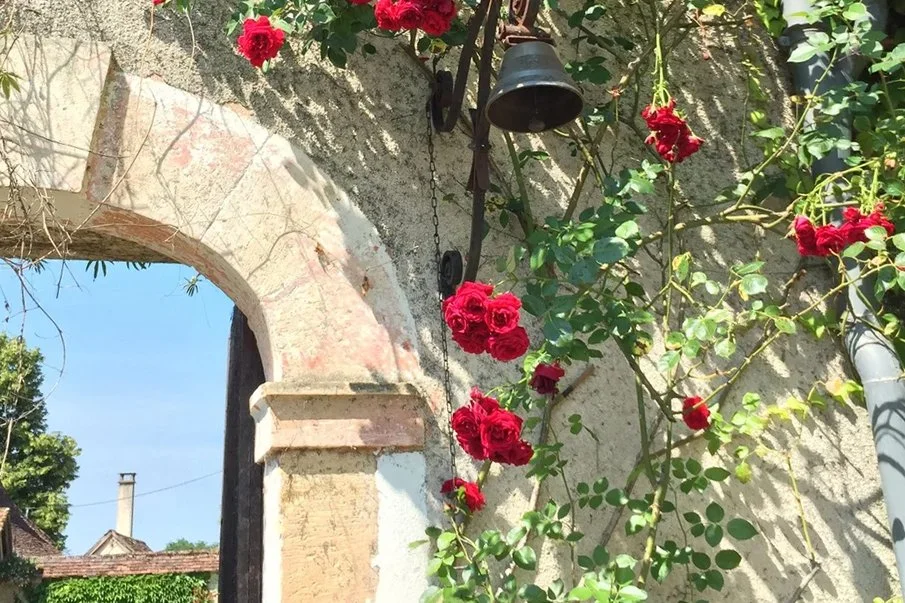 Roses and bell on stone wall at Domaine de Tabary